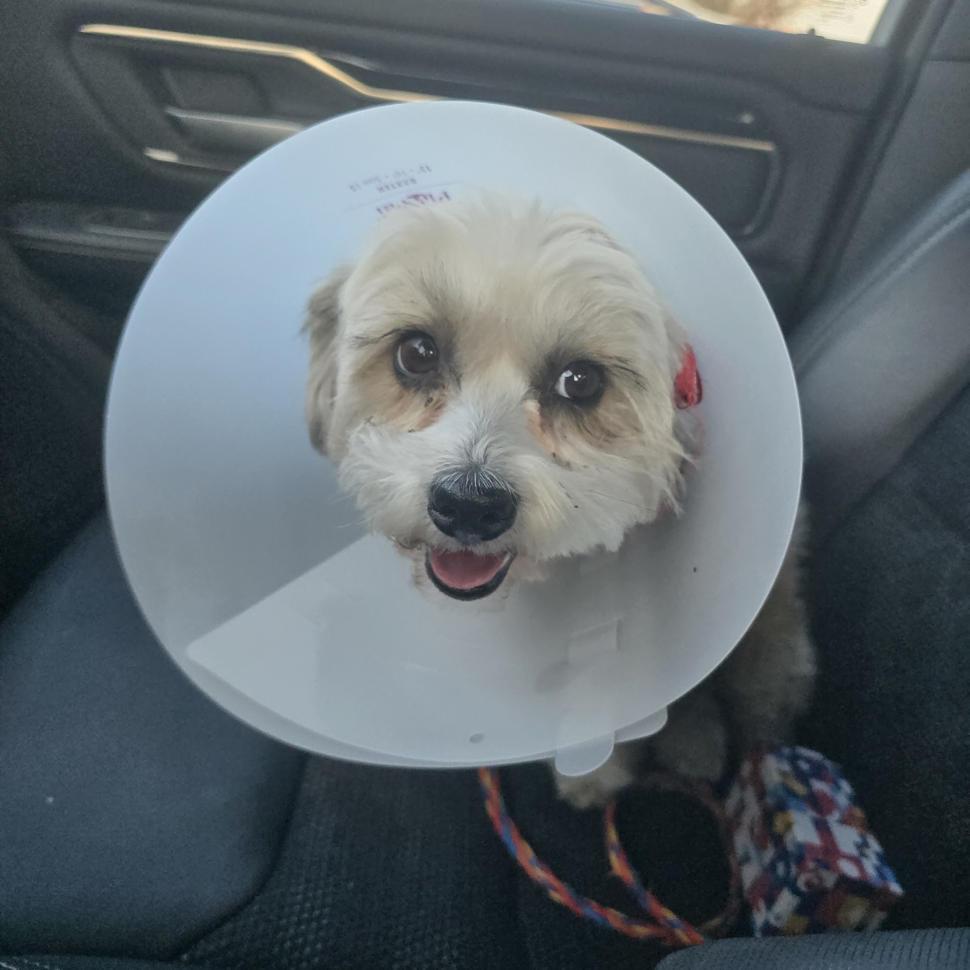 Southwest Animal Care Complex Santa Teresa