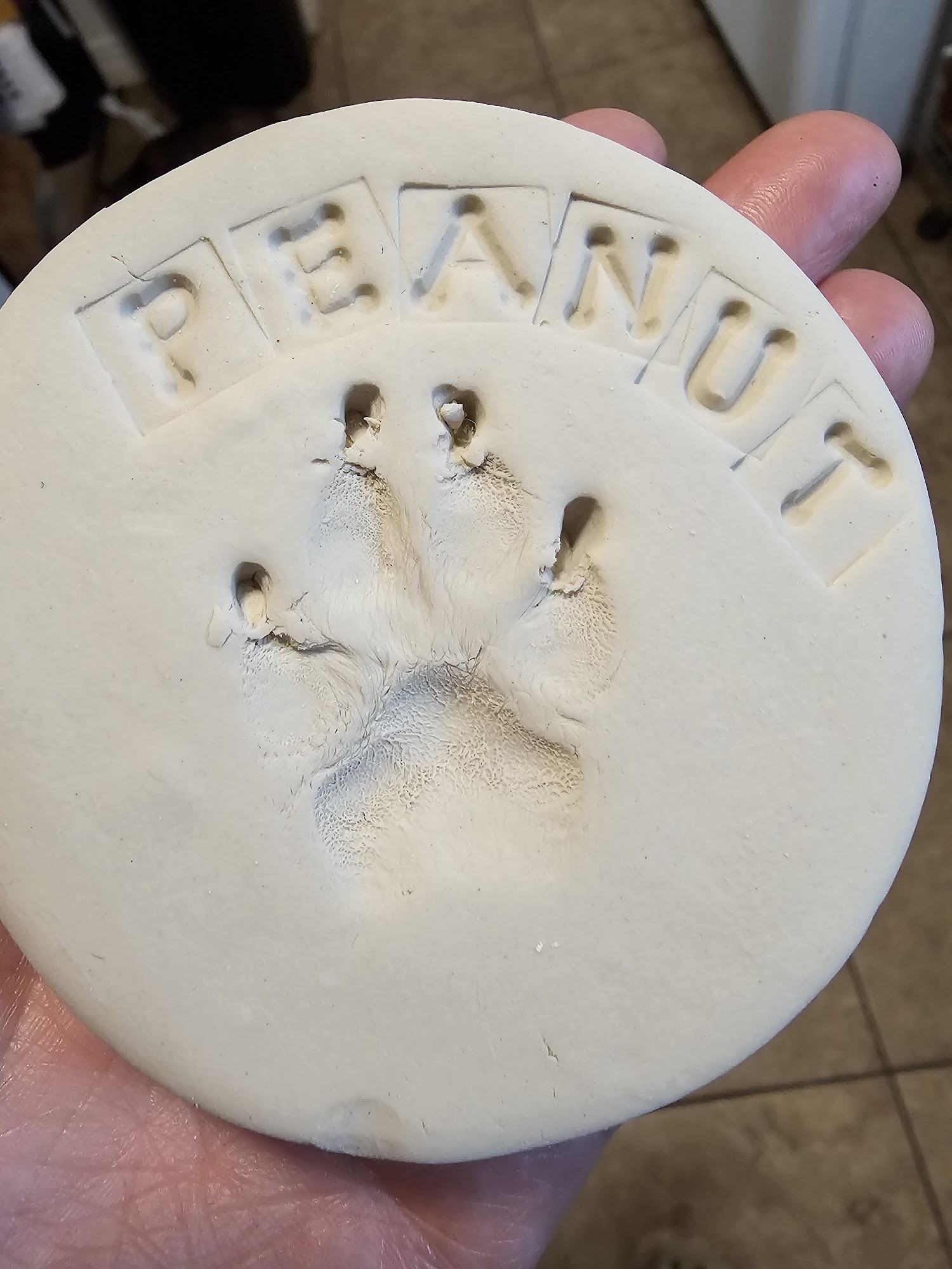 Gila Animal Clinic Silver City