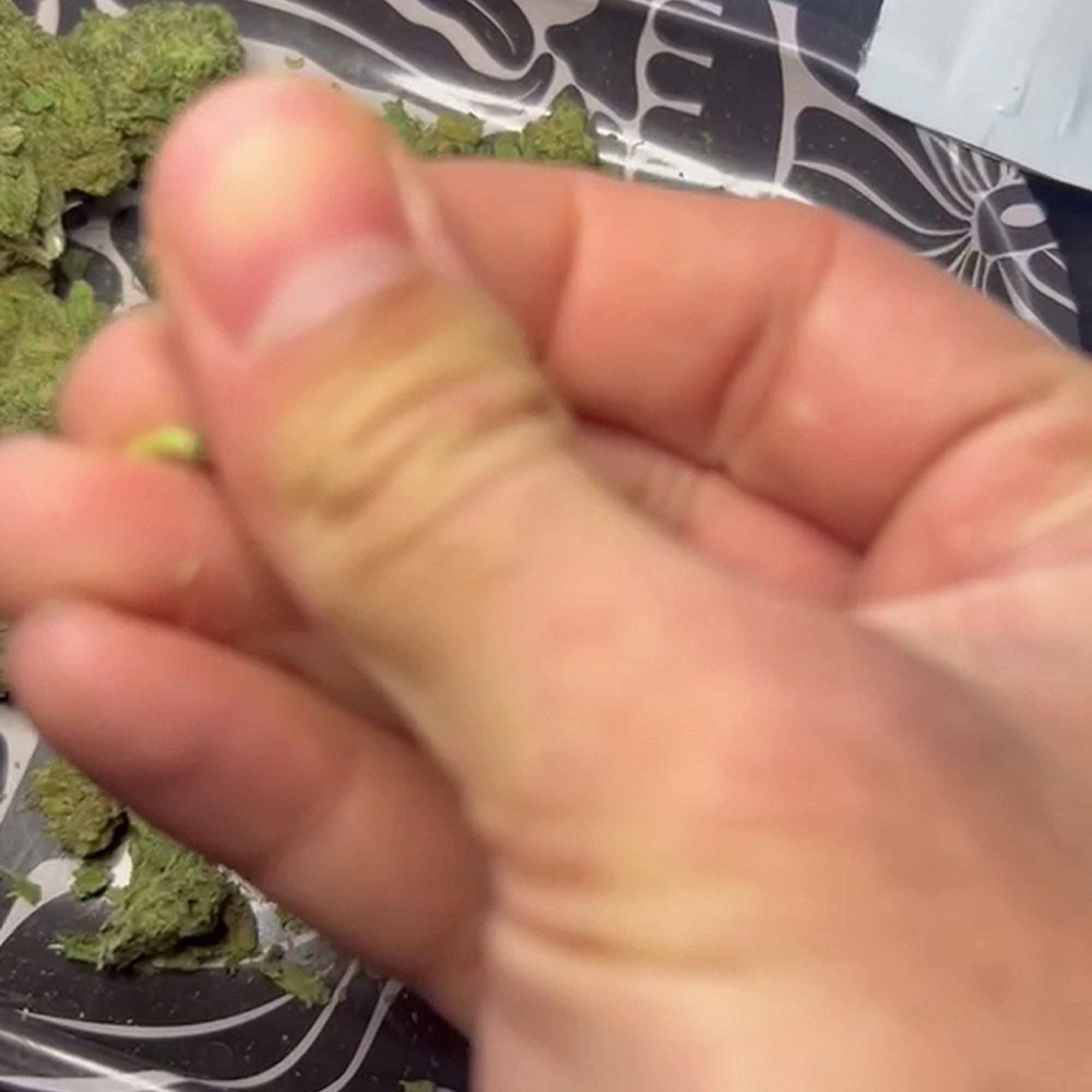 R.Greenleaf Sunland Park Sunland Park