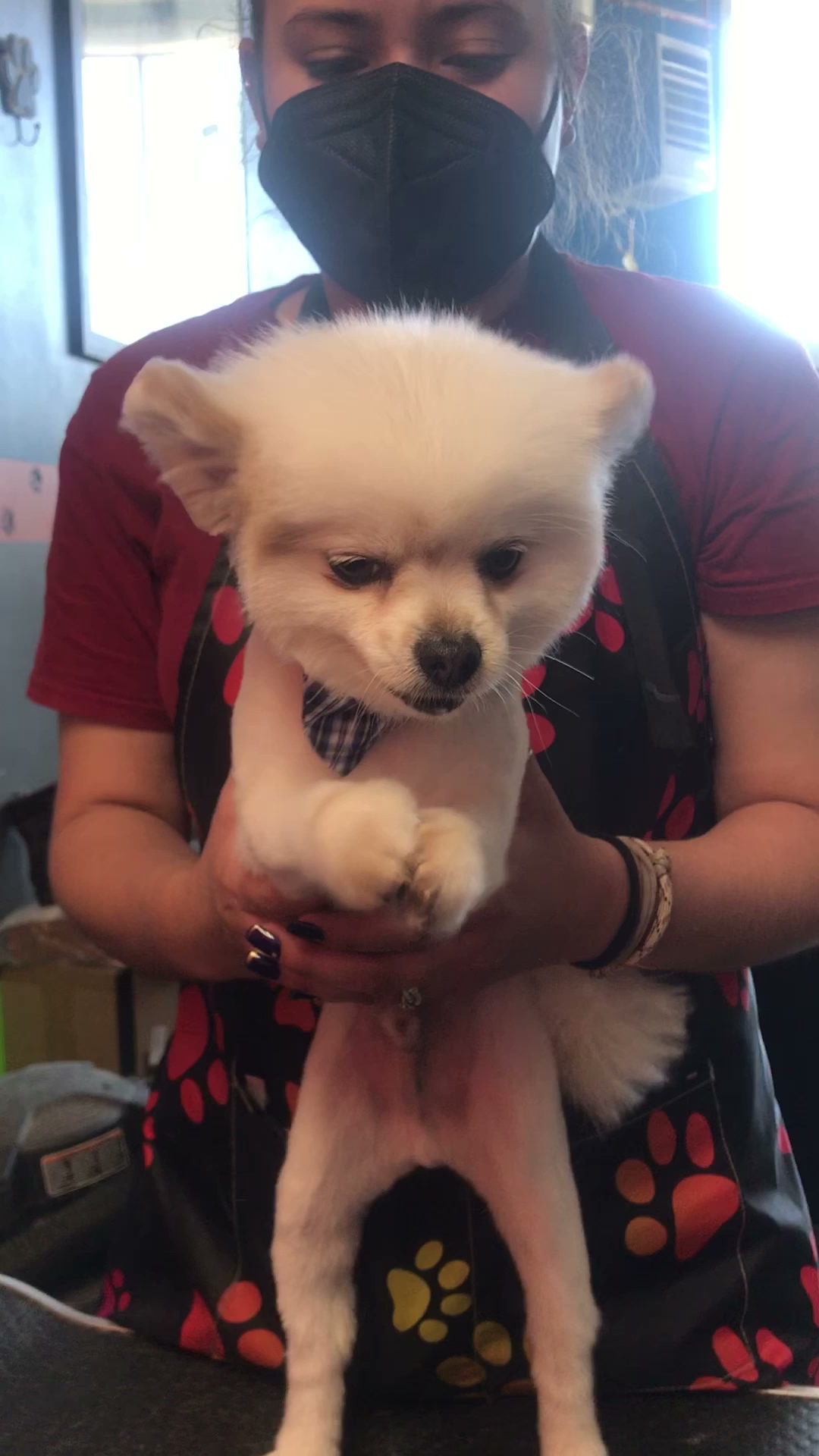 Avalyn's Paw Spa Taos