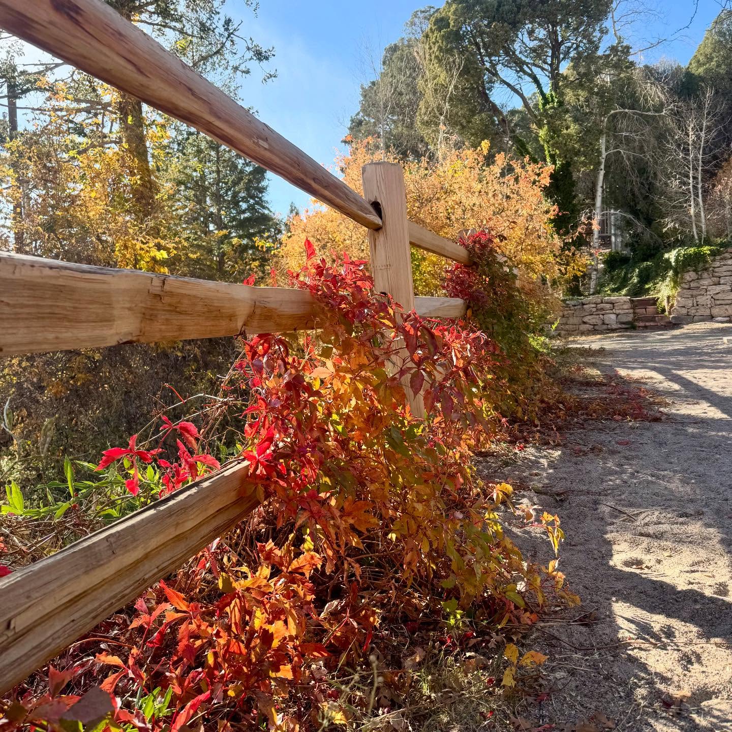 Roots Farm Cafe Tijeras