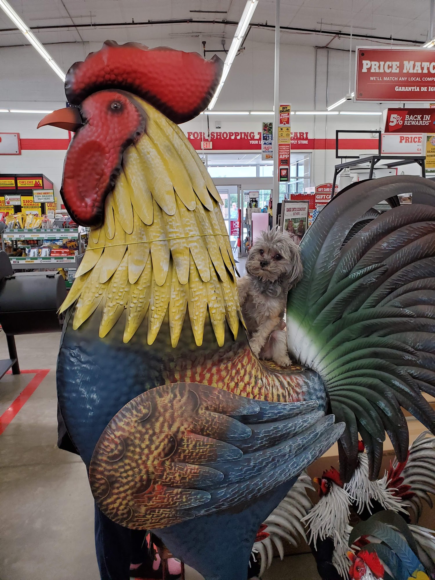 Tractor Supply Co. Tucumcari