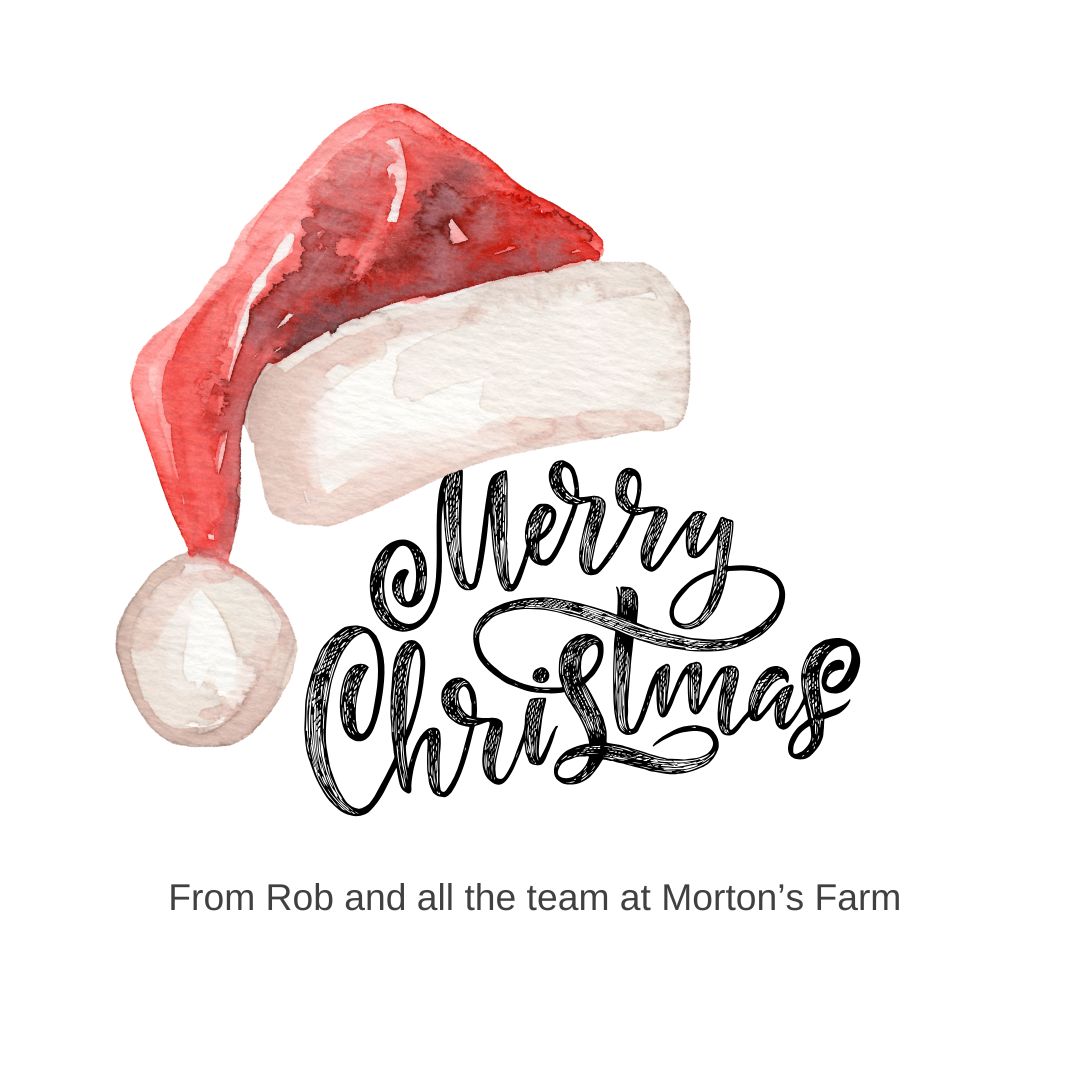 Morton's Traditional Taste Ltd