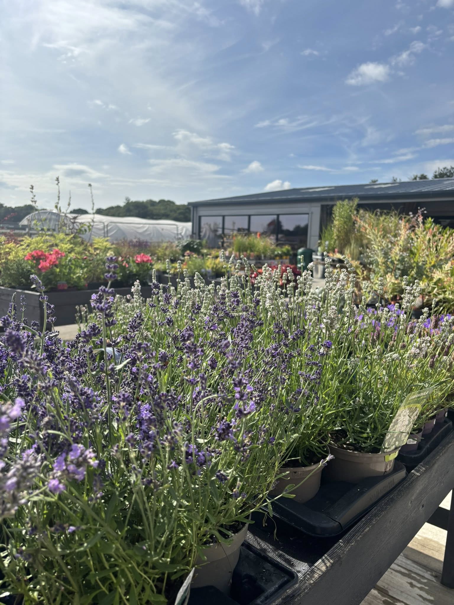 Beeston Garden Centre & Farm Shop Ltd