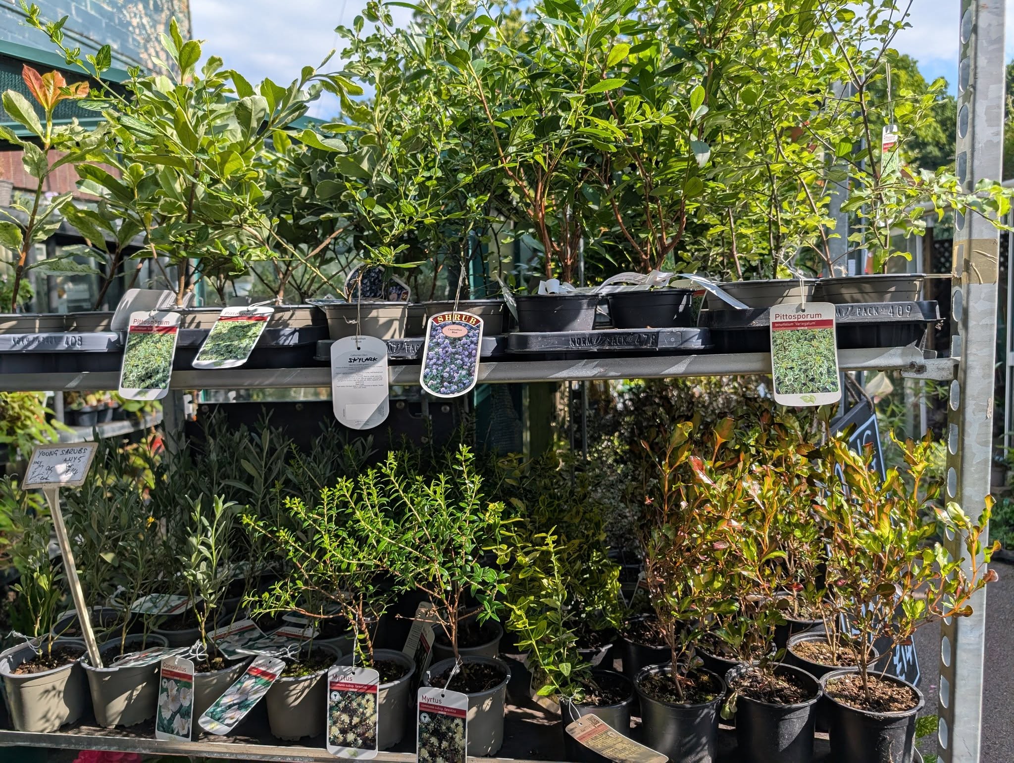 Mousehold Garden Centre