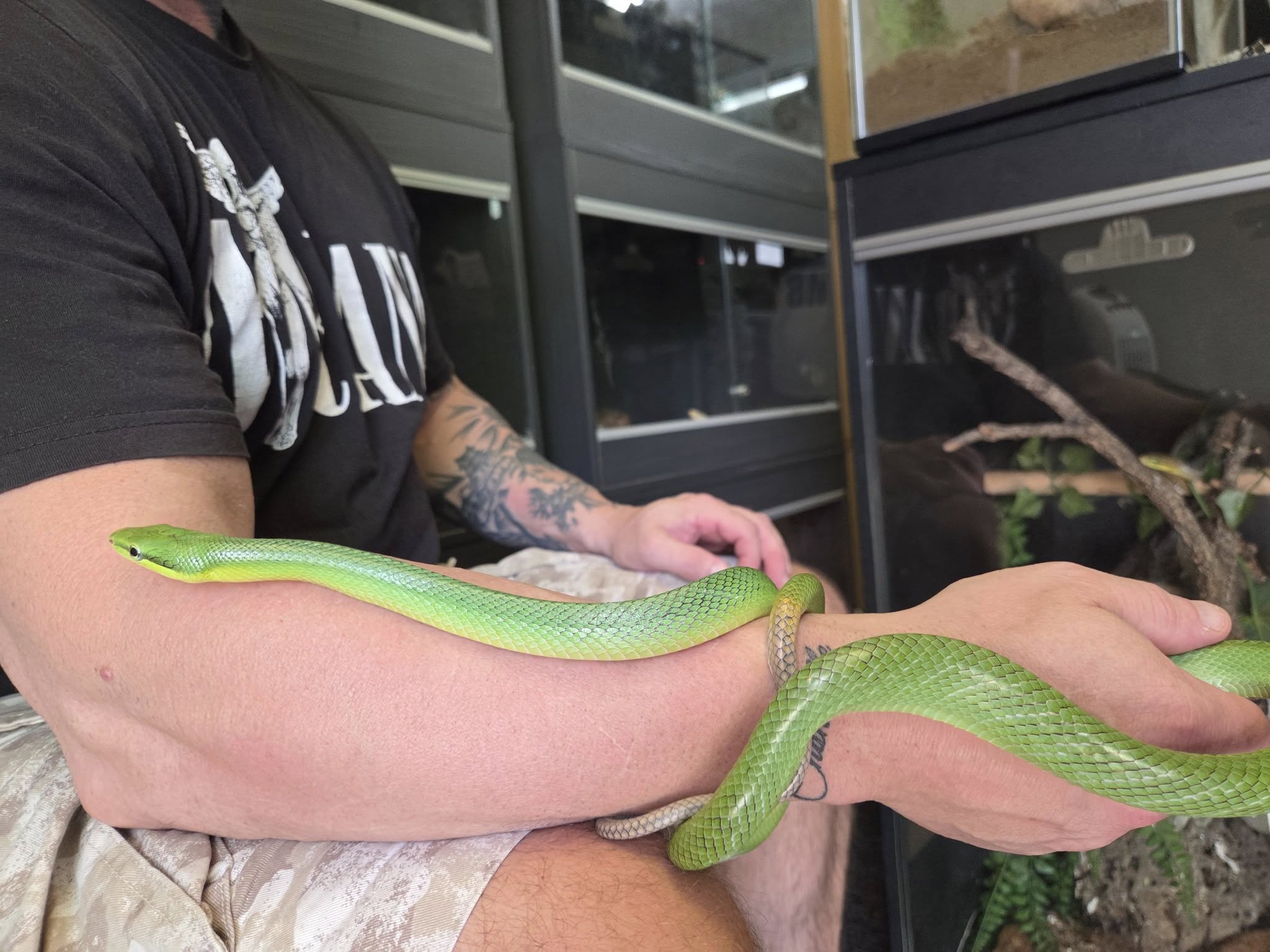 Norwich Reptile Company