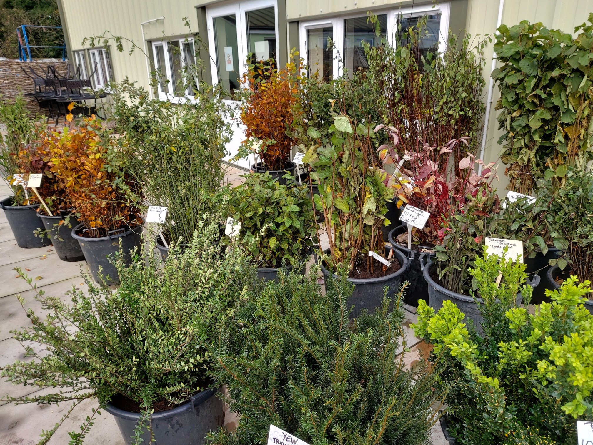 Foundry Plant centre