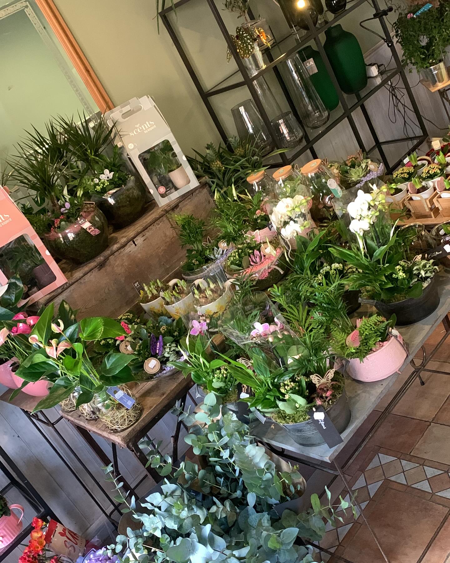 The Flower Box