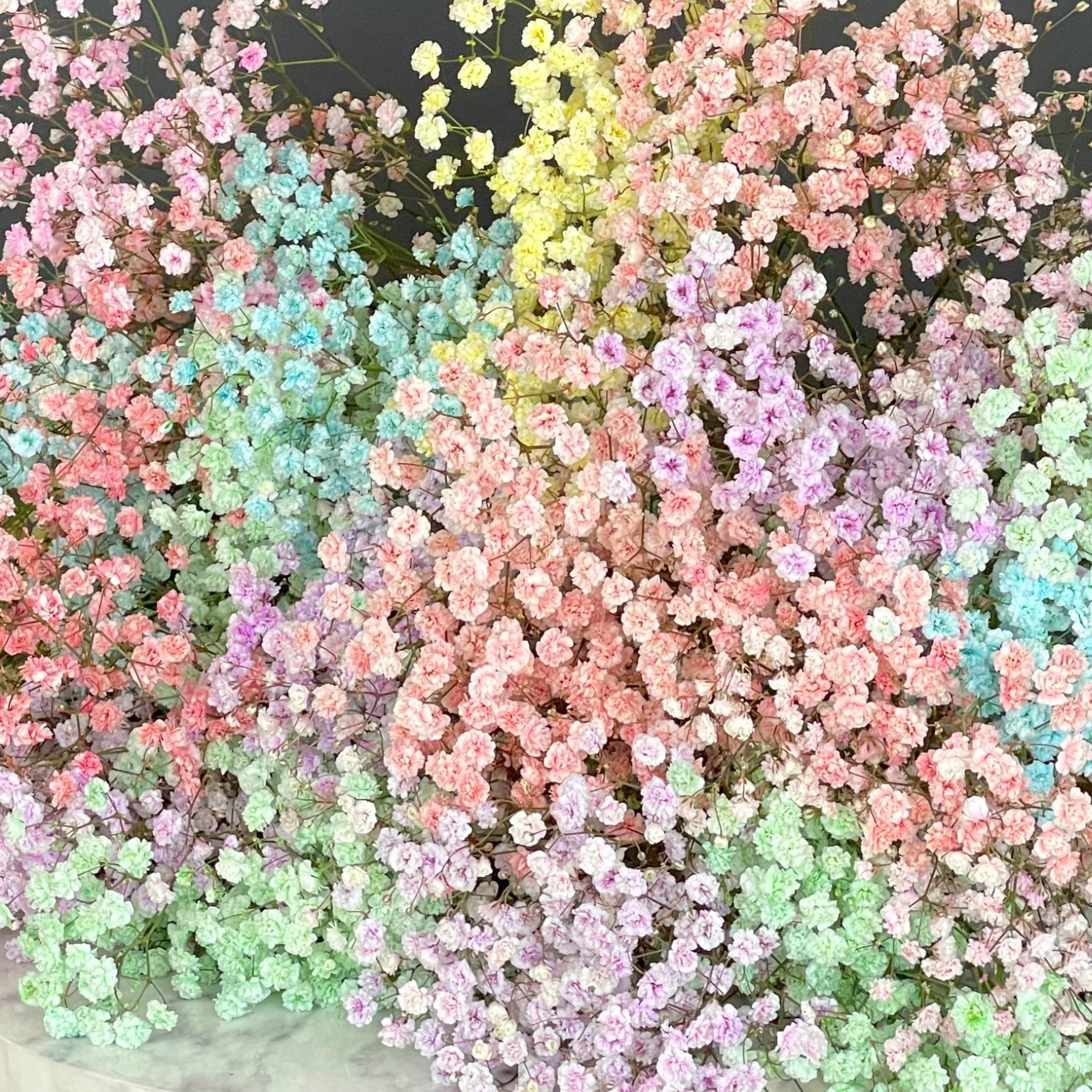 Homeland Florists