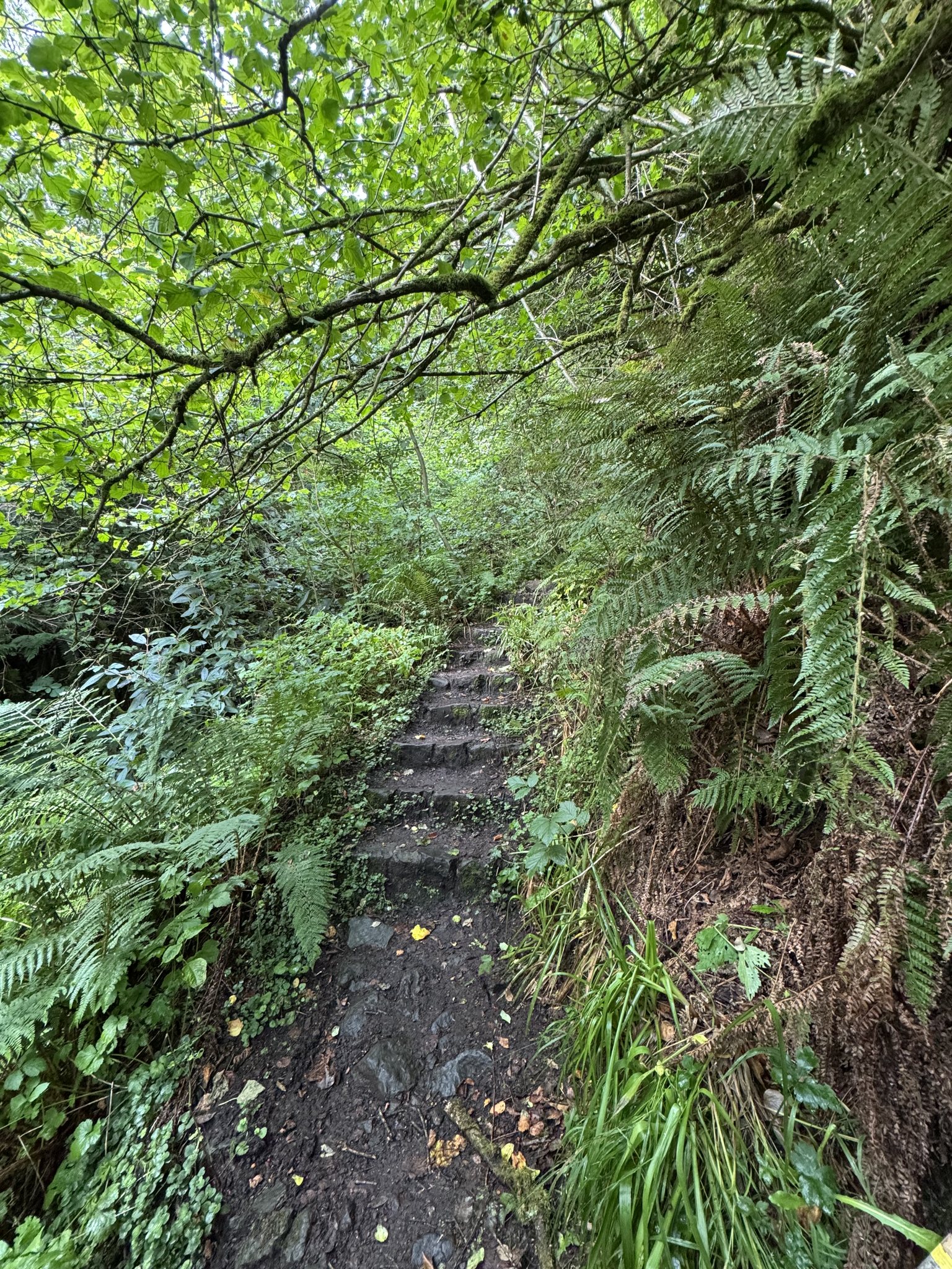 Belfast Hills Partnership