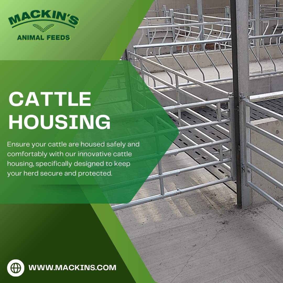 Mackin's Animal Feeds & Hardware Supplies Newry