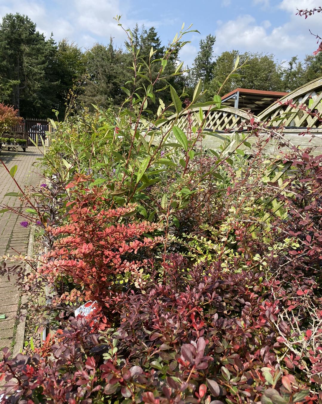 Berwick Garden Centre