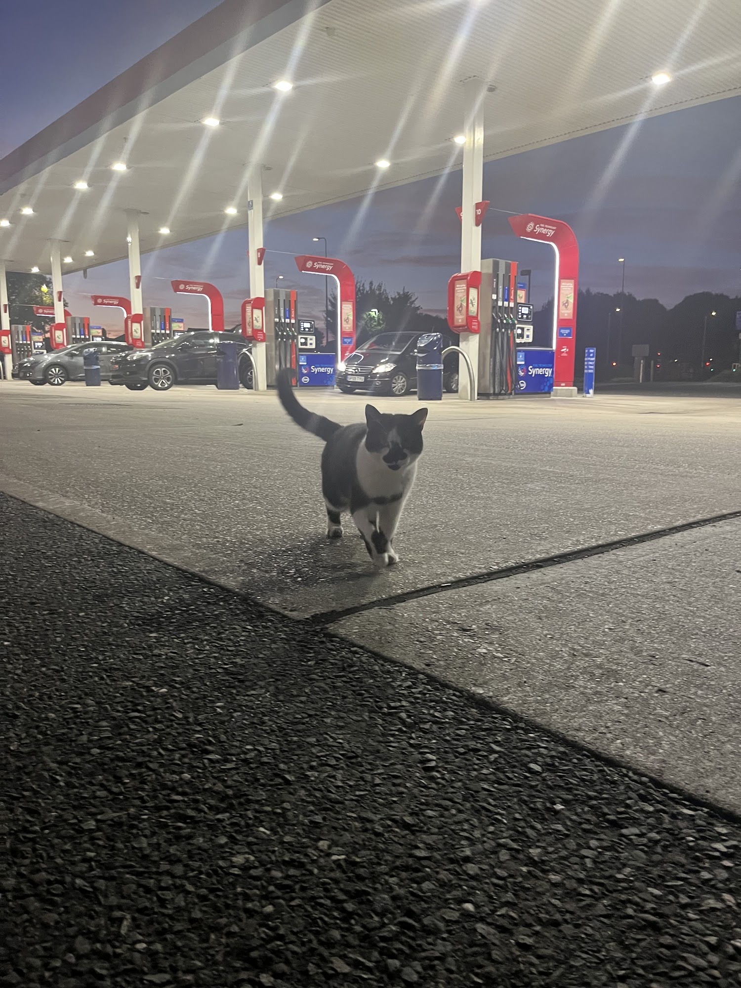 Tesco Esso Express