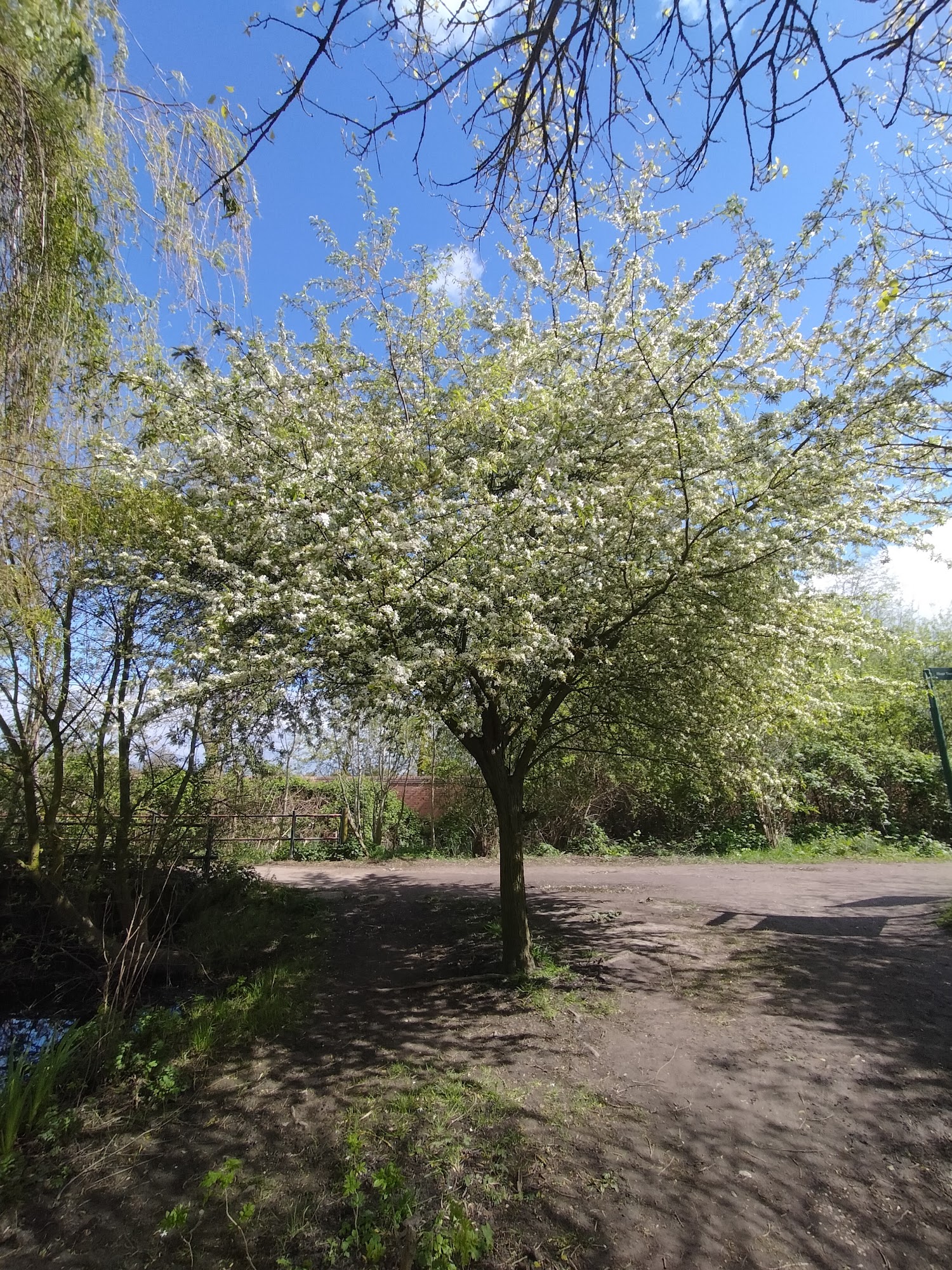 Nottinghamshire Wildlife Trust
