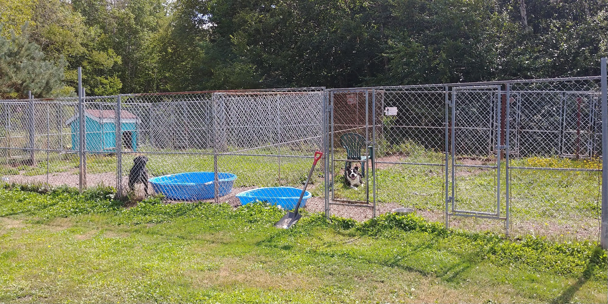 Lillian Allbon Animal Shelter Amherst