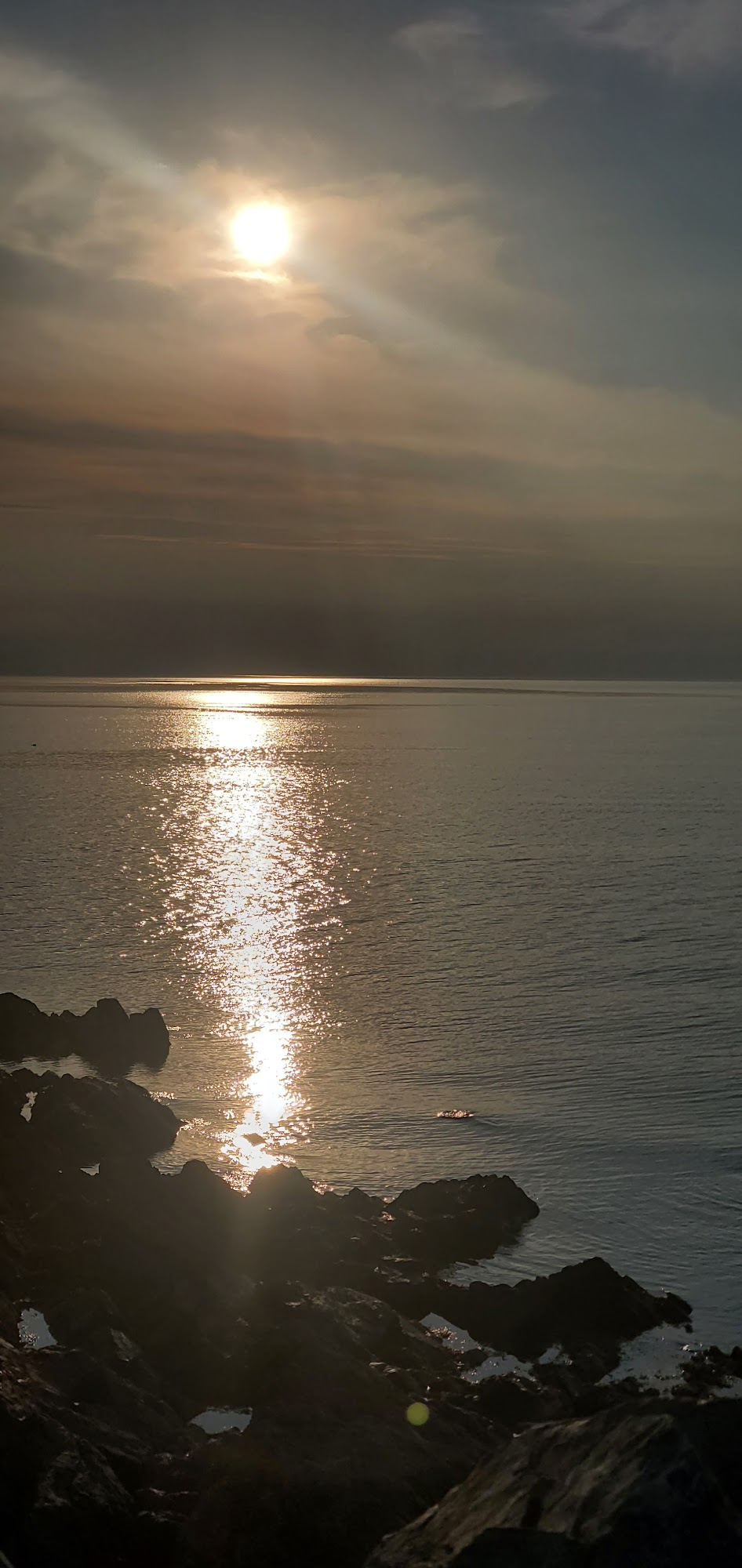 Highway 7 Colision Centre