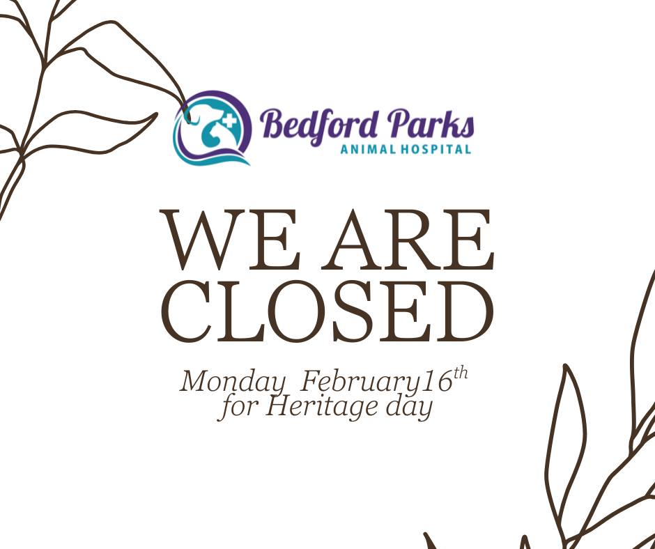 Bedford Parks Animal Hospital Bedford