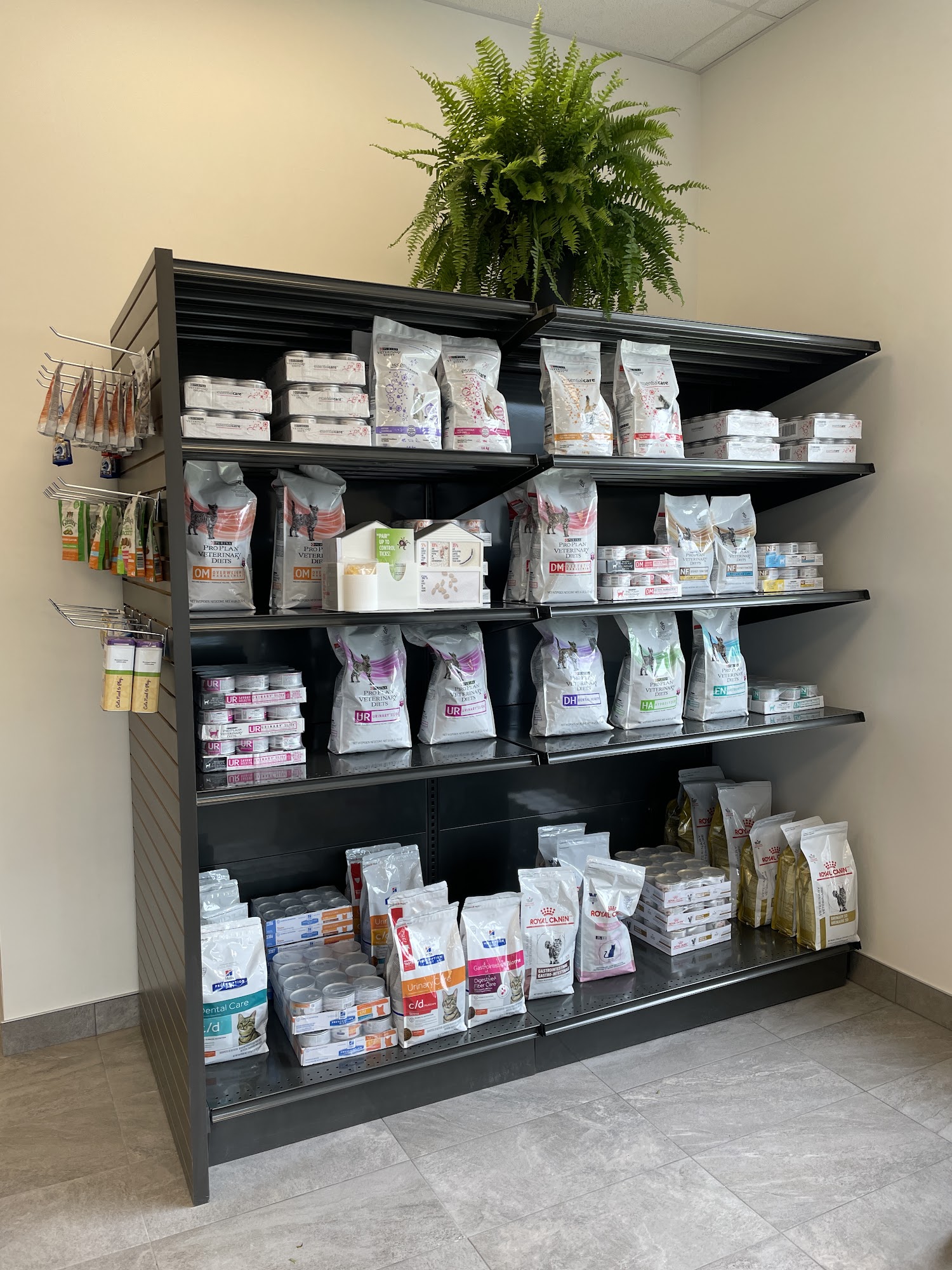 Bedford Parks Animal Hospital Bedford