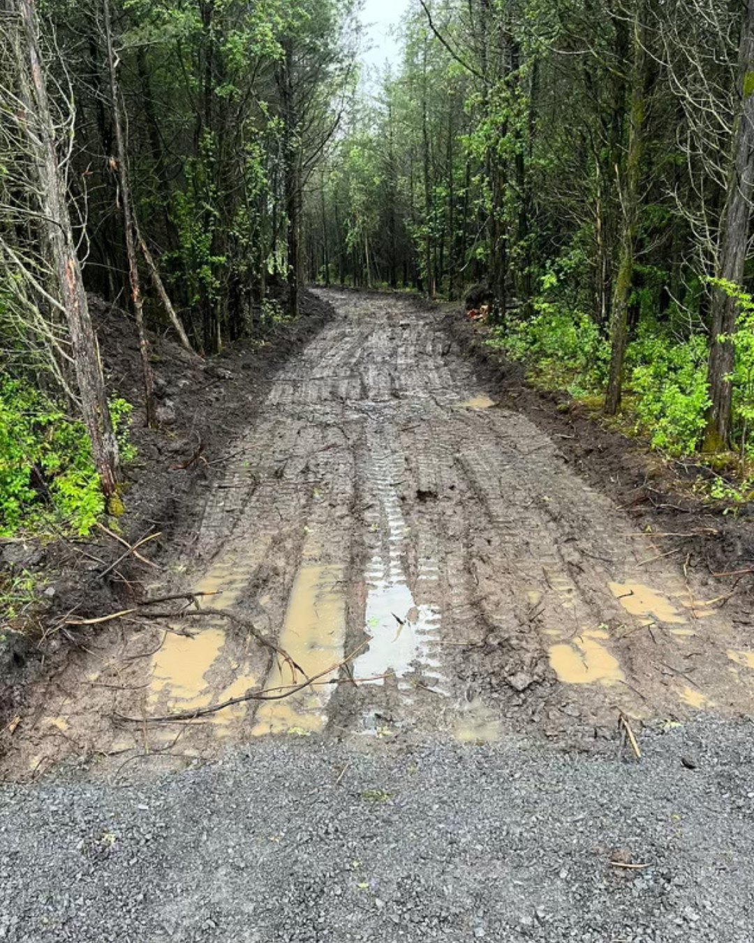 Timberwolf Construction Ltd.