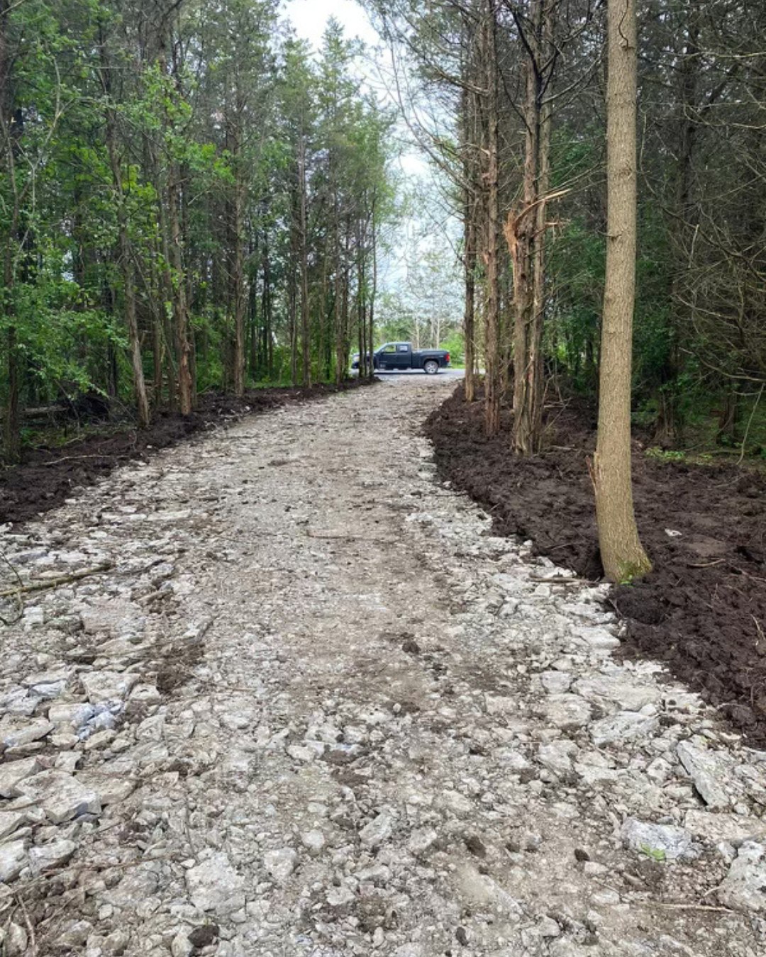 Timberwolf Construction Ltd.