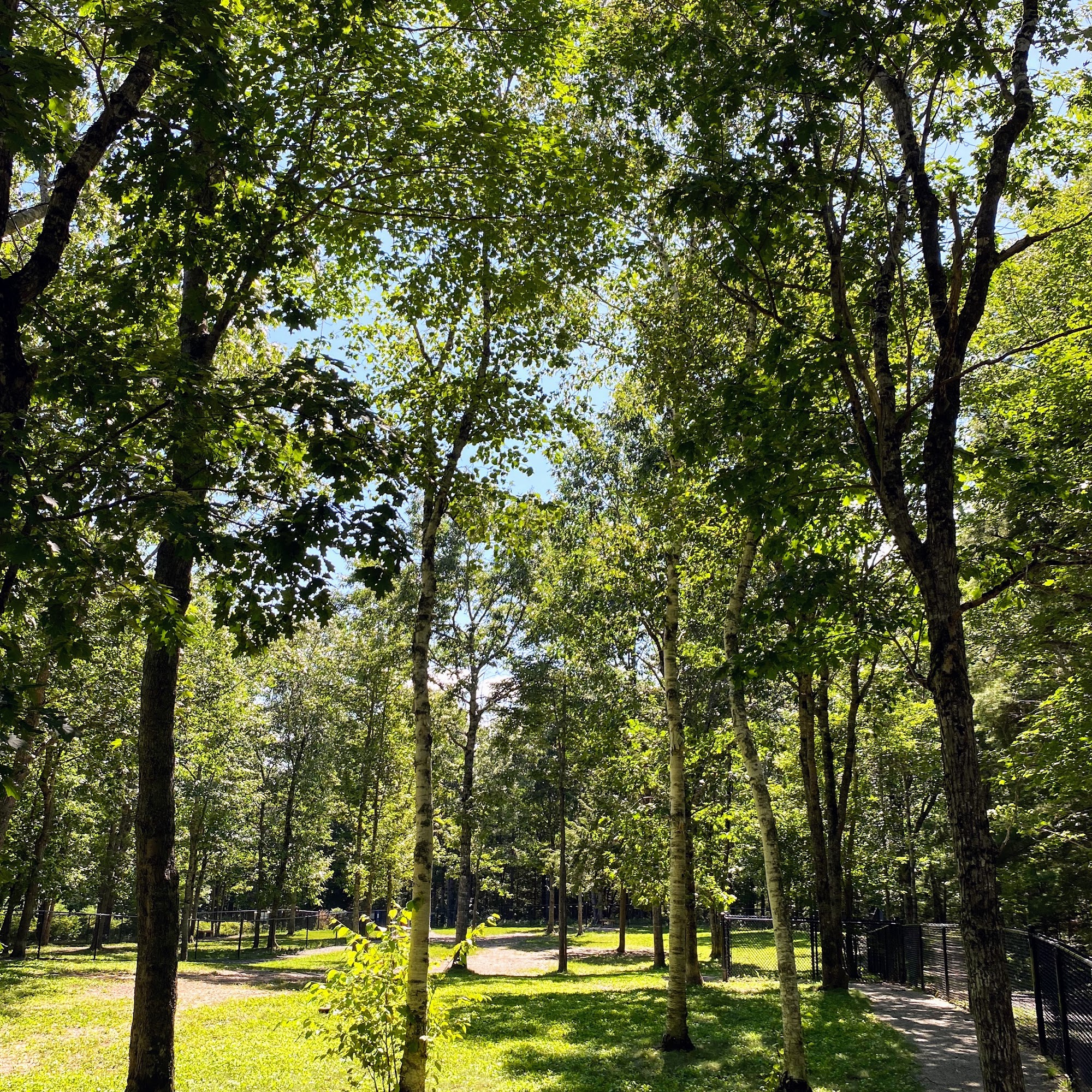 South Shore Vet Dog Park Bridgewater