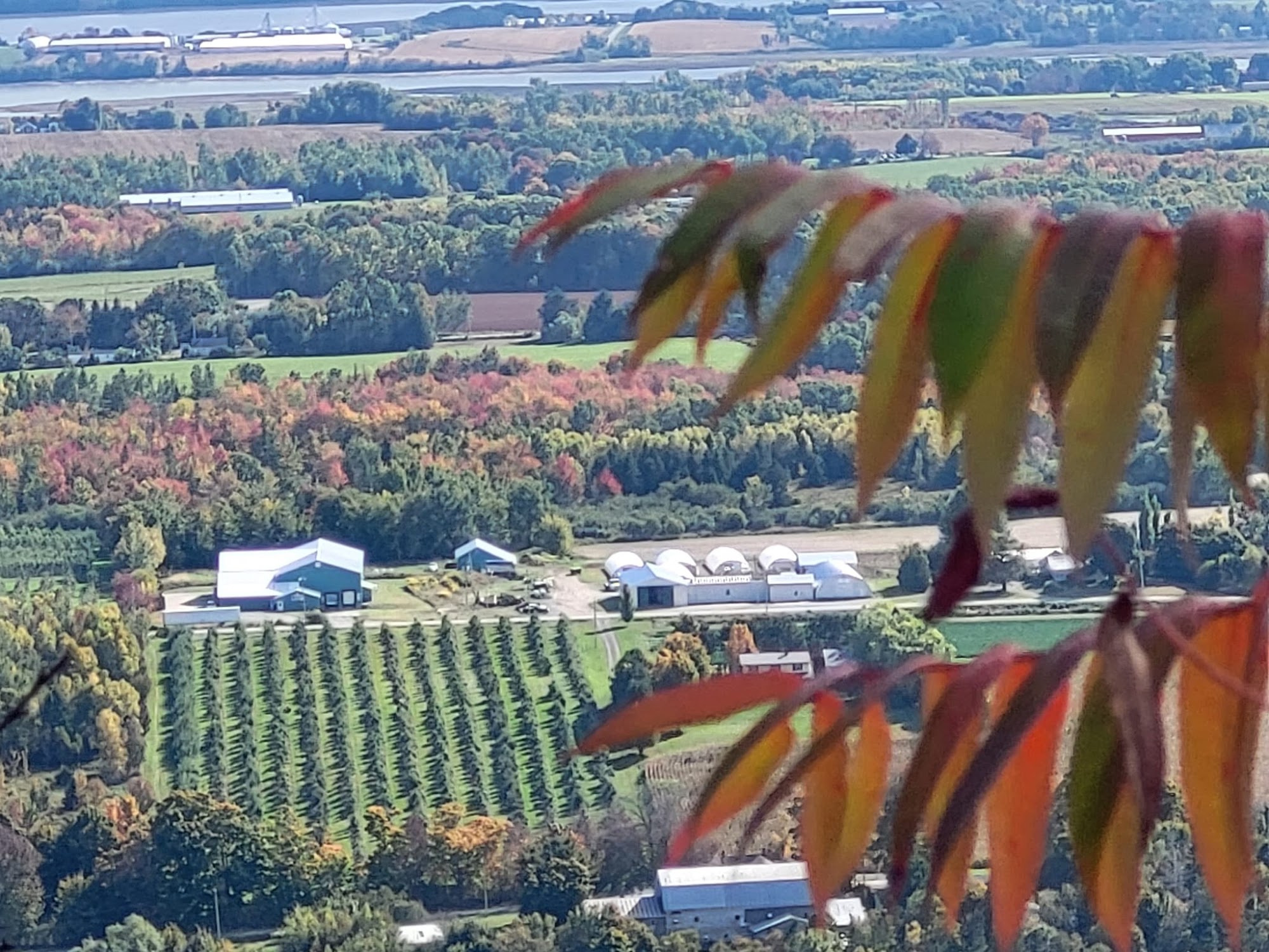 Look Off Family Camping Park .New owners Canning