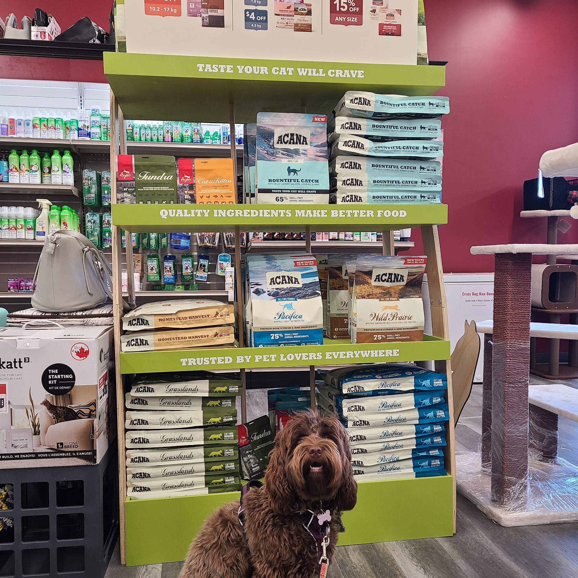 Global Pet Foods Dartmouth