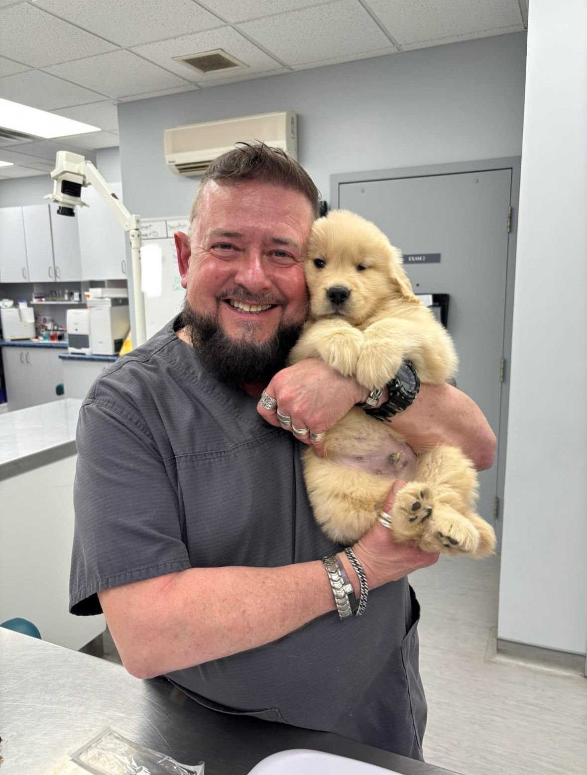 Bayview Animal Hospital Ltd Digby