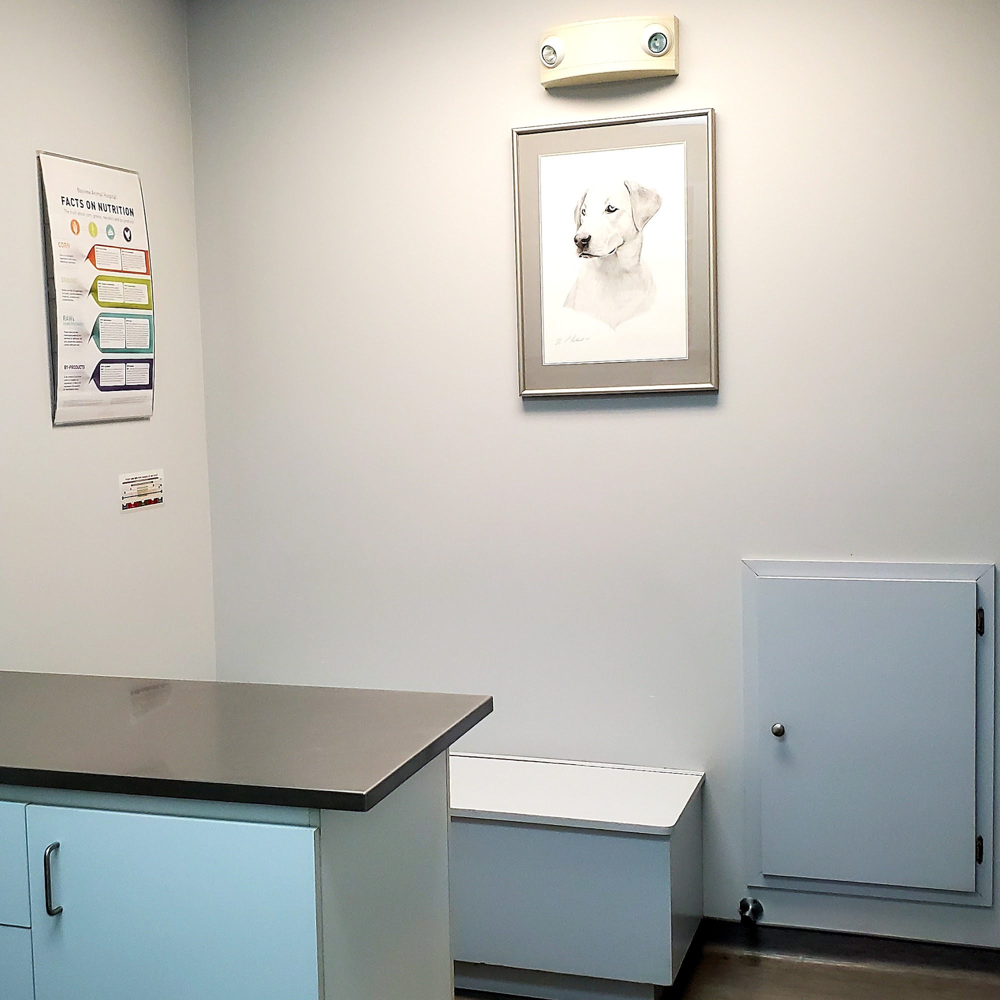 Bayview Animal Hospital Ltd Digby