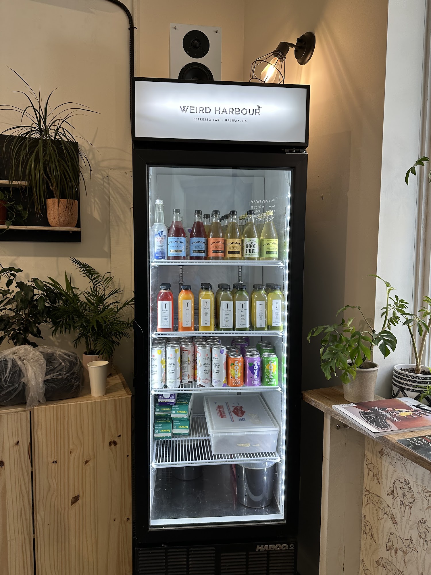 Weird Harbour Espresso Bar Halifax