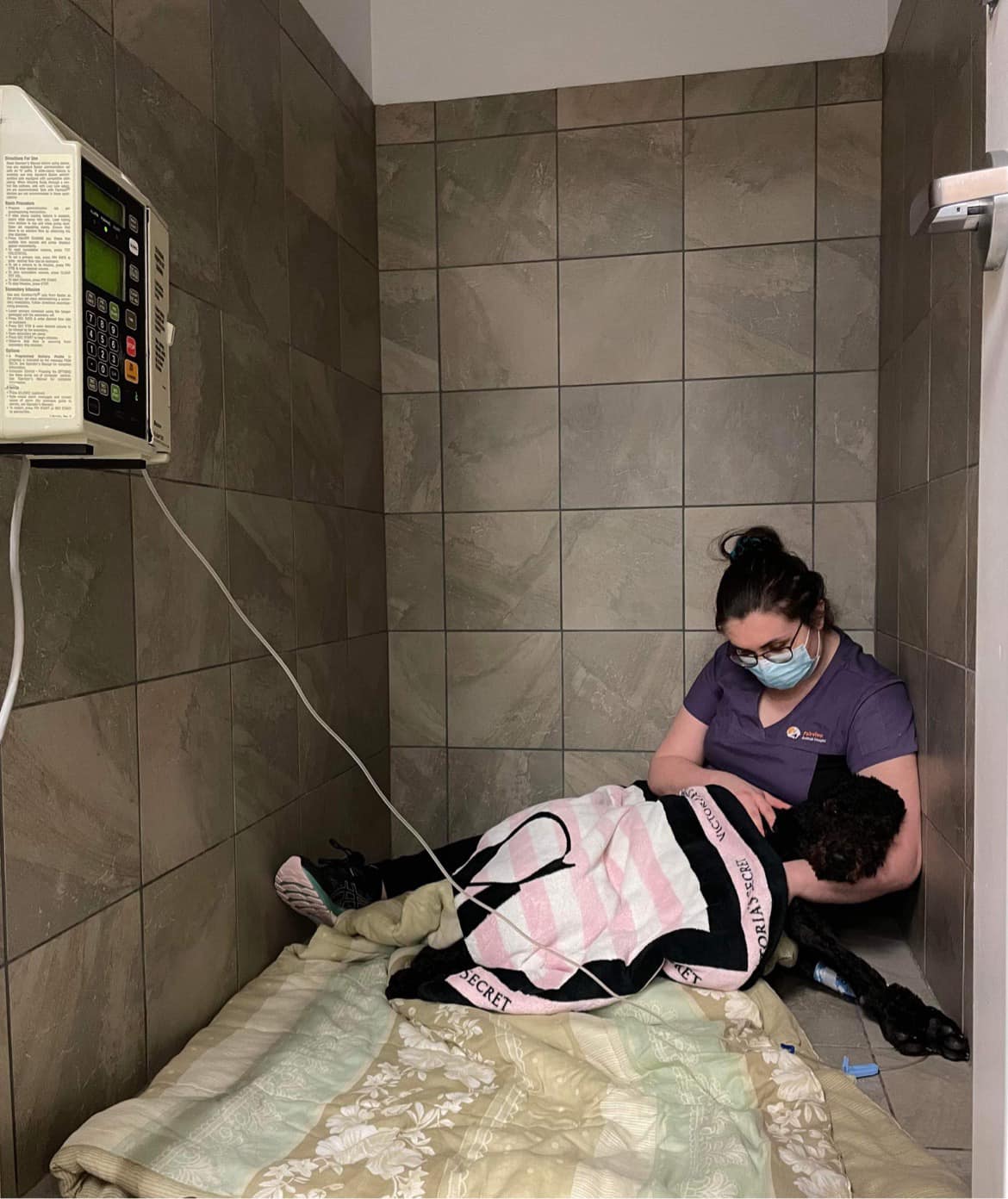 Fairview Animal Hospital Halifax