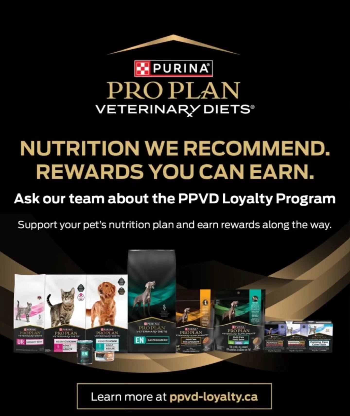 Clayton Park Veterinary Hospital Halifax