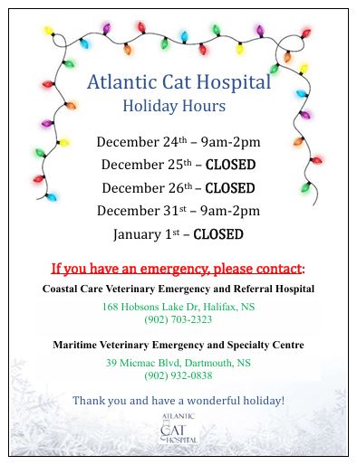 Atlantic Cat Hospital Halifax