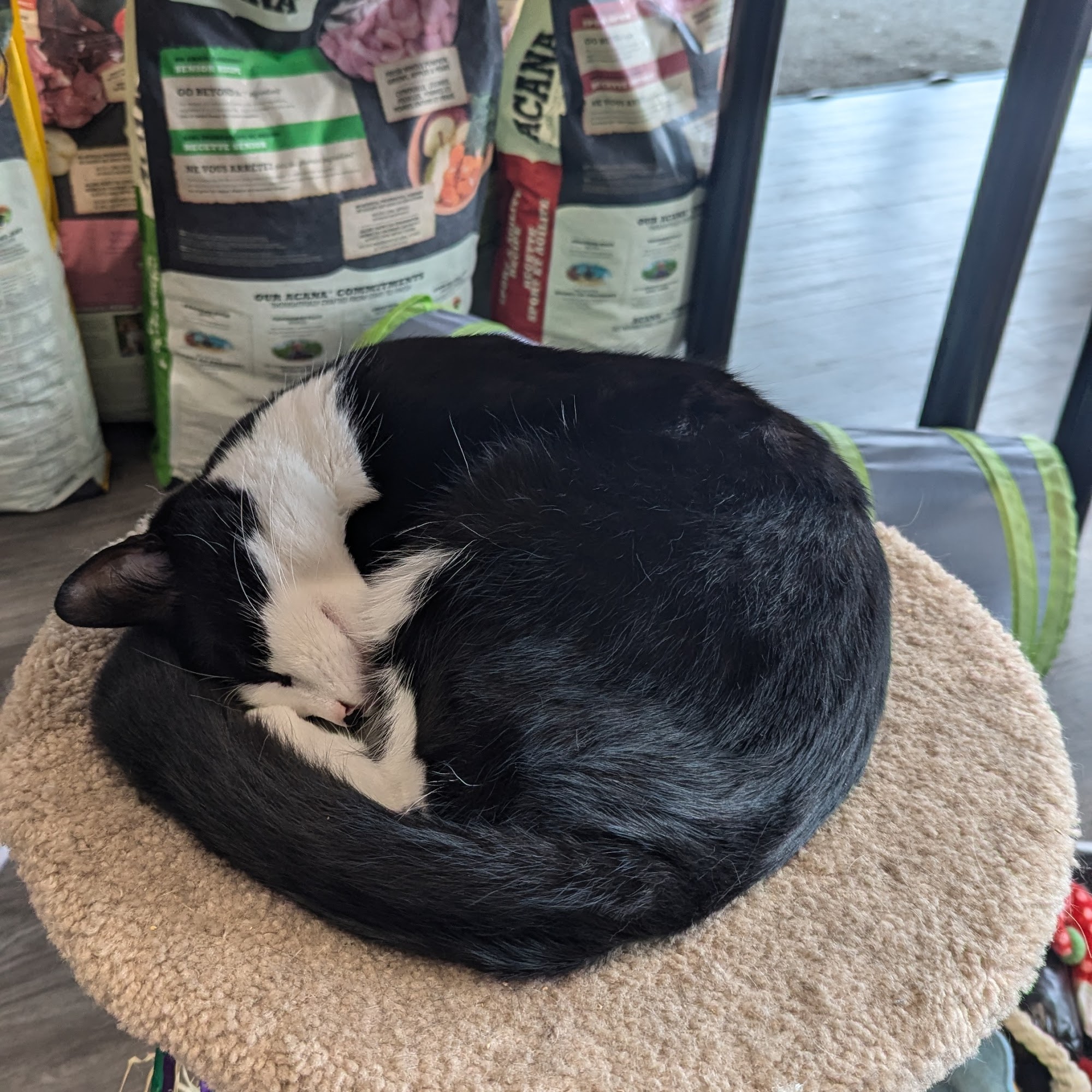 Global Pet Foods Halifax Halifax