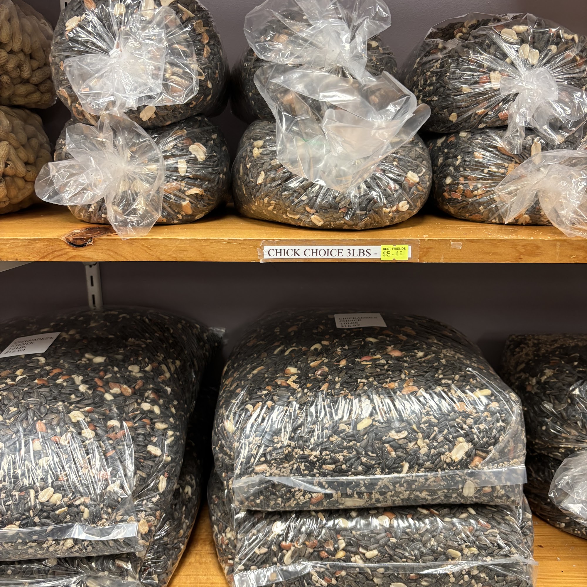 Best Friends Pet Supplies Halifax