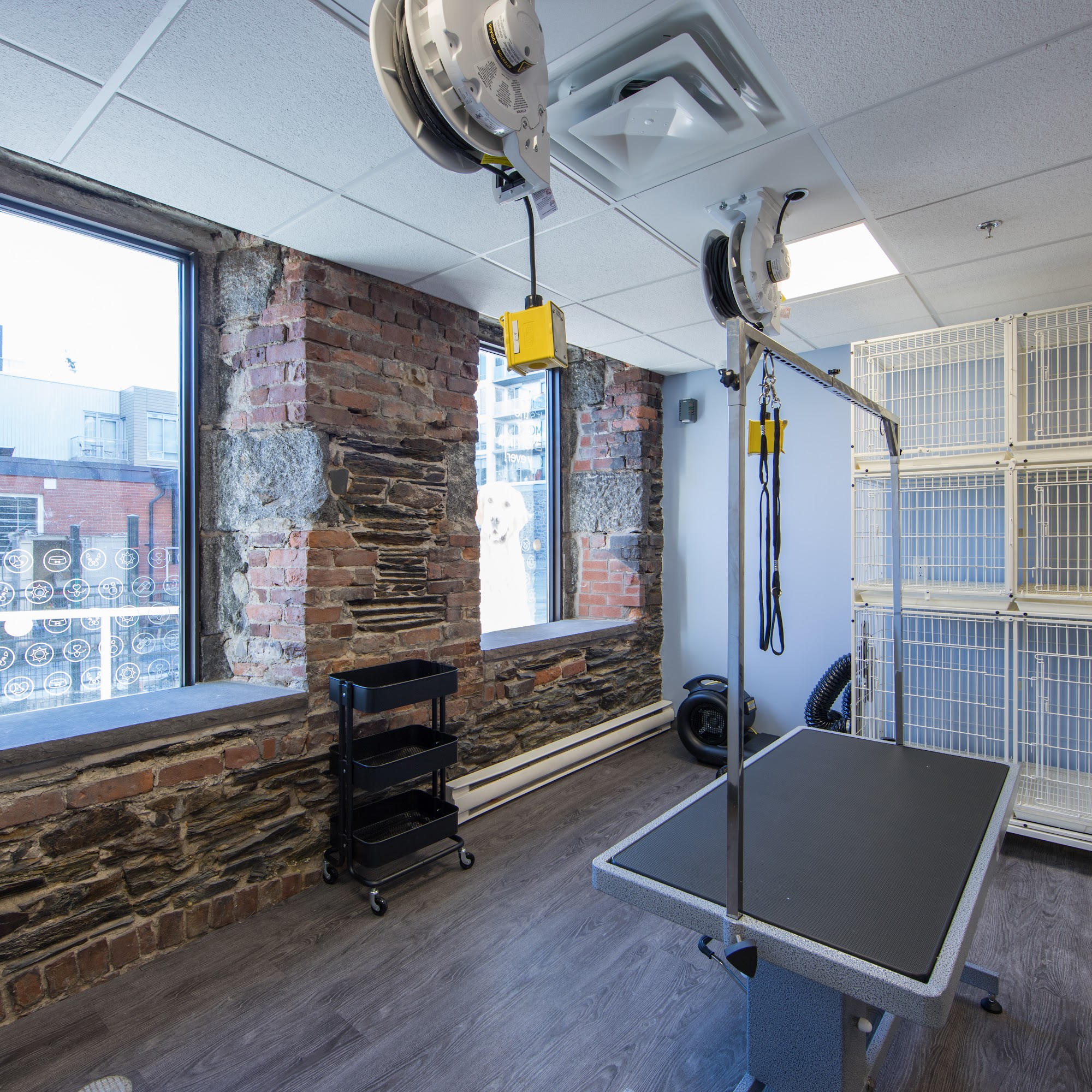 Dogtopia of Halifax Halifax