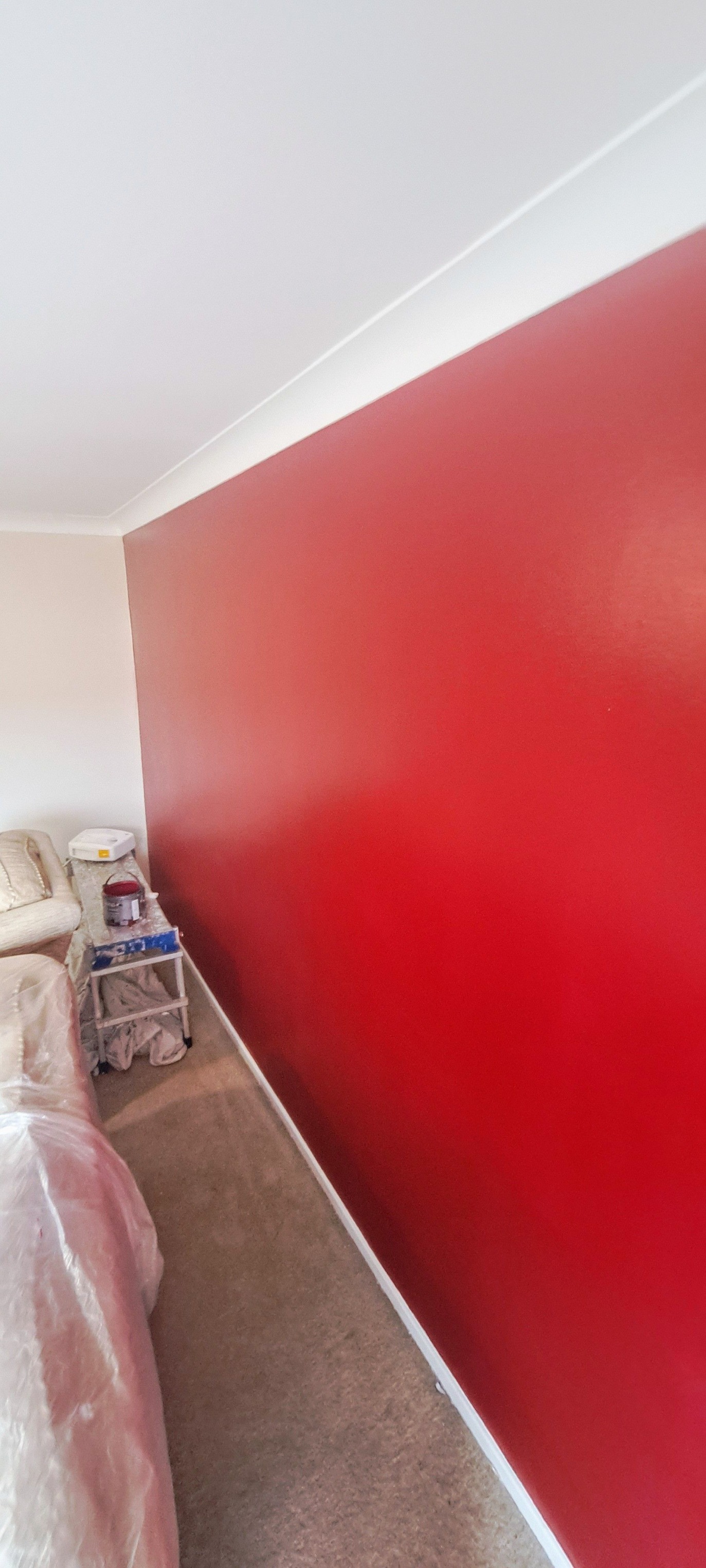 Steve's Painting Home-Business