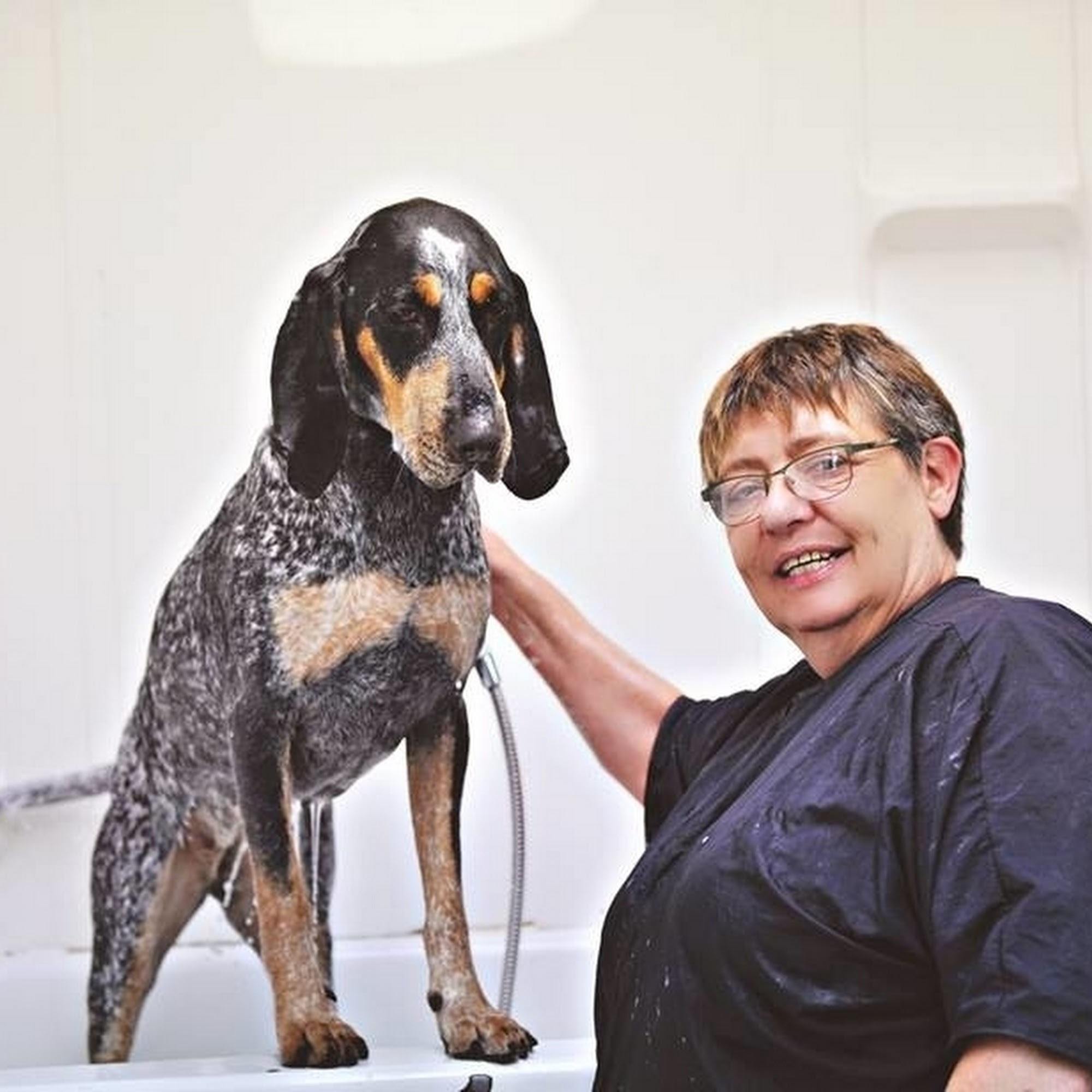 Auntie Gwen's Doggie Do's Liverpool