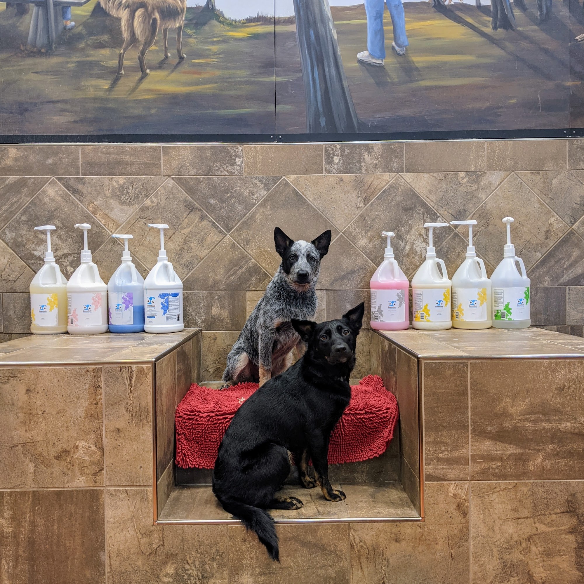 Pet Valu Lower Sackville