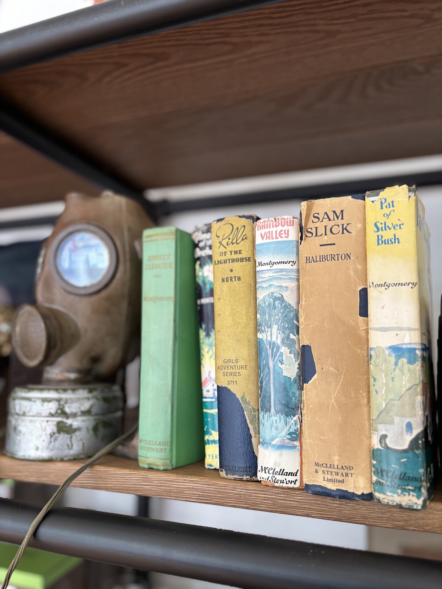 Dog Shop Bathouse & Boutique the Mahone Bay