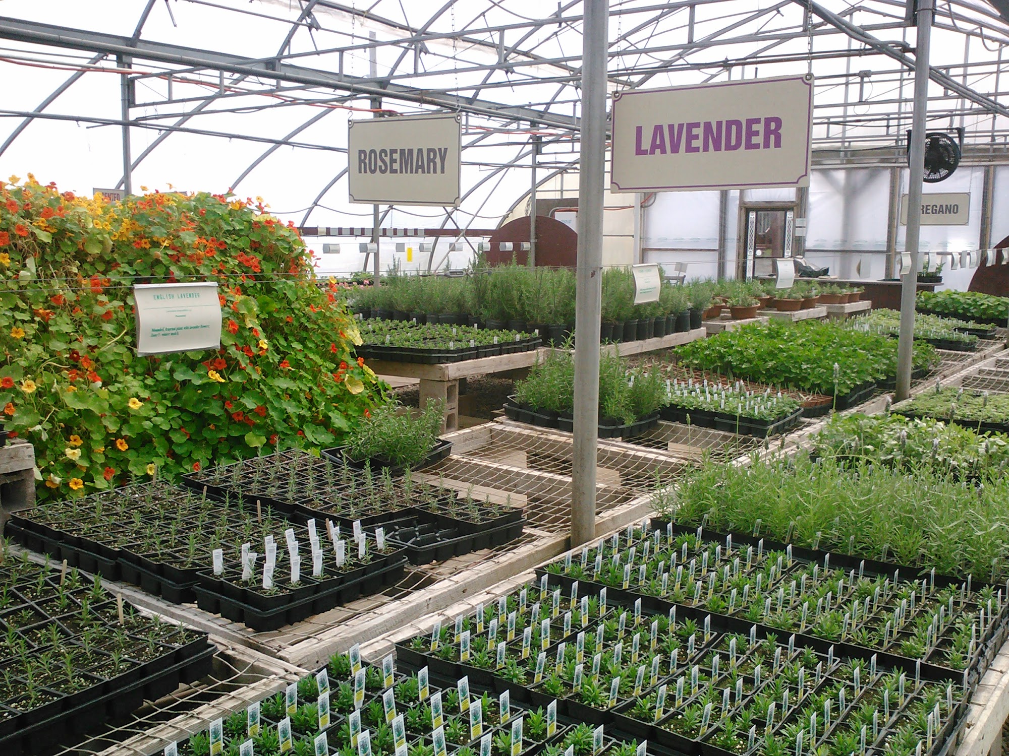 Riverview Herbs Maitland