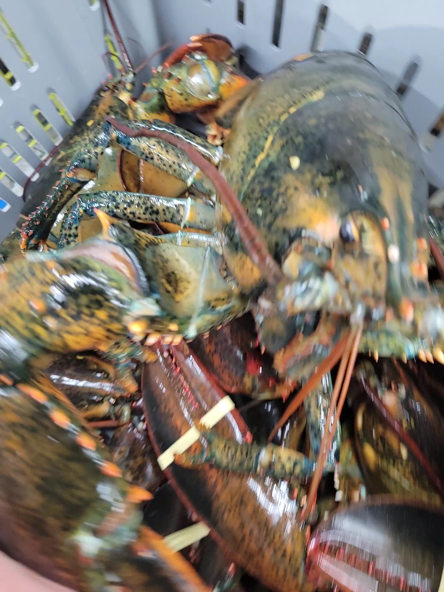 B.M.C Seafoods Ltd. - Market &Take Out Menu