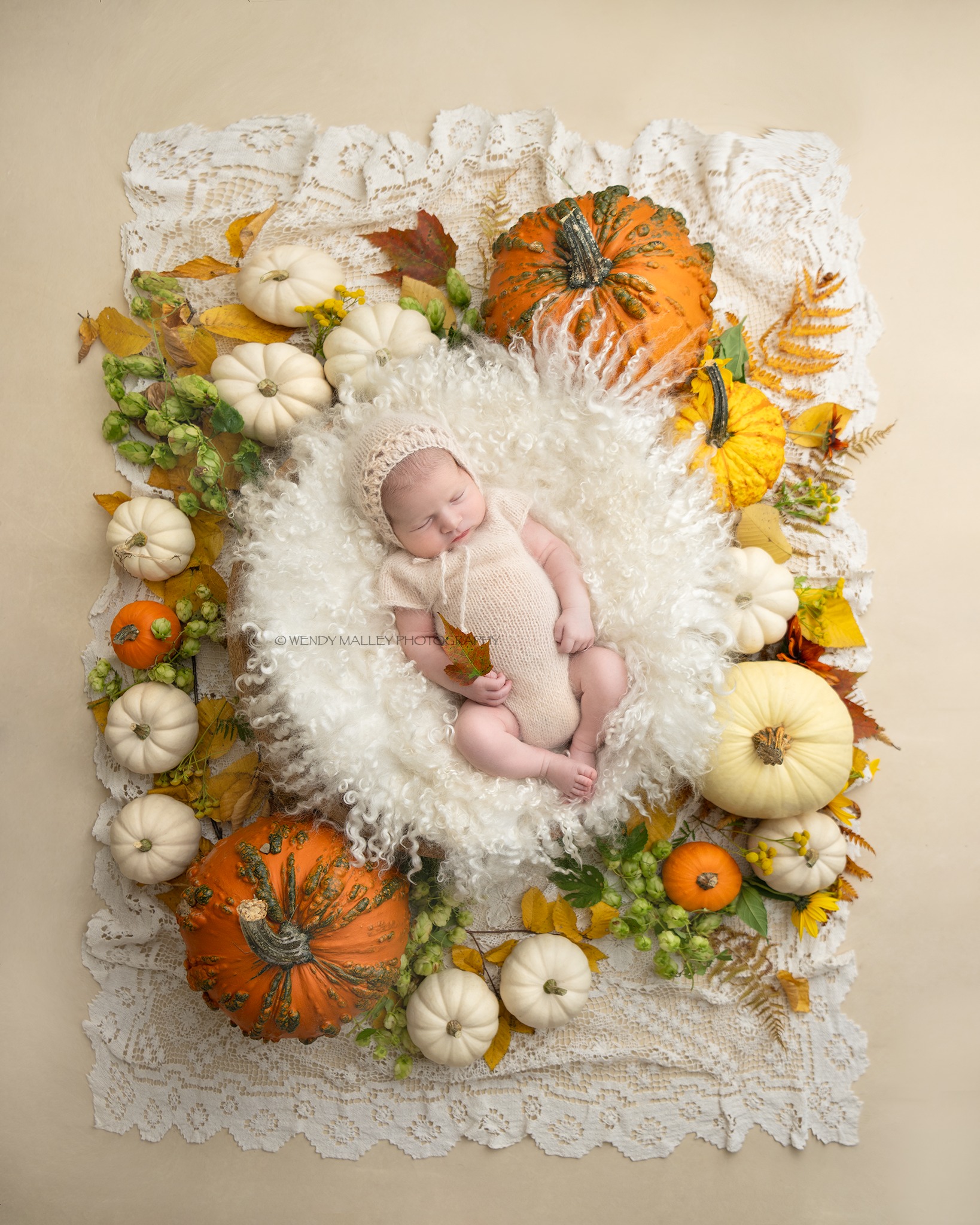 Wendy McElmon Photography