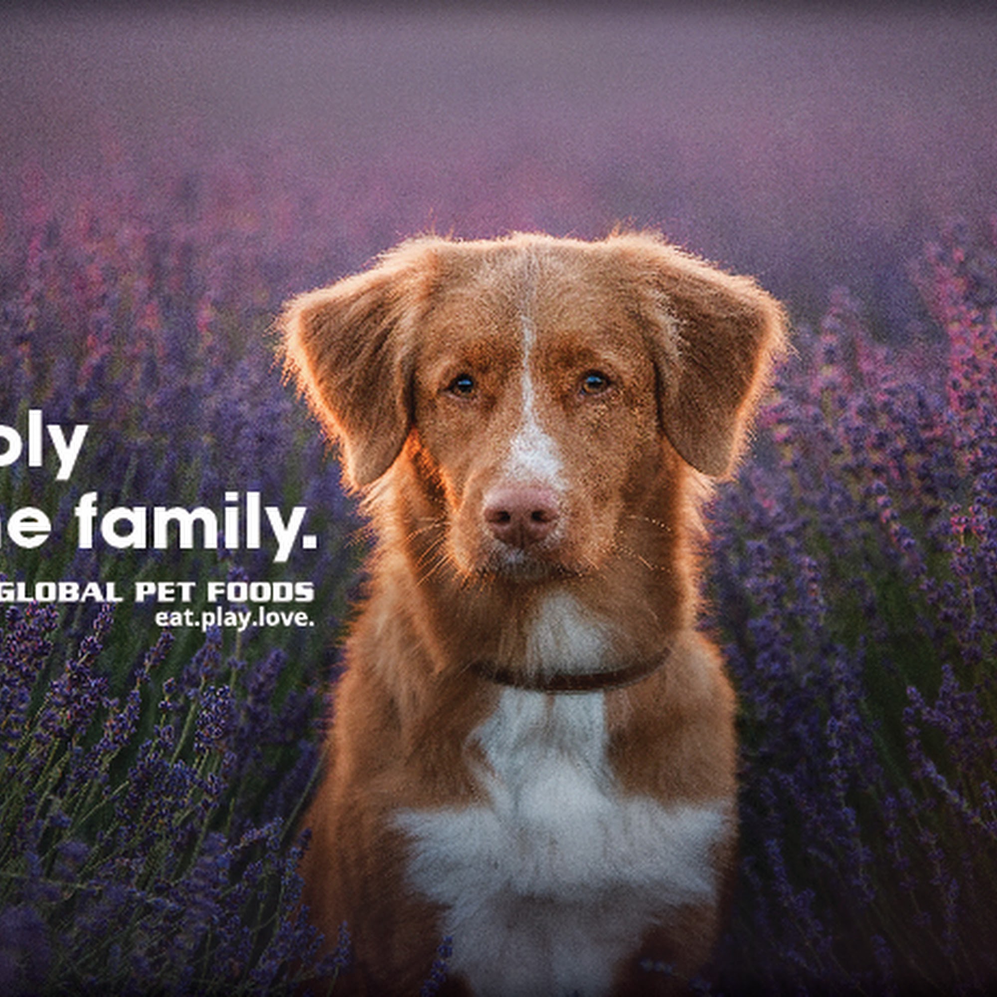 Global Pet Foods Truro