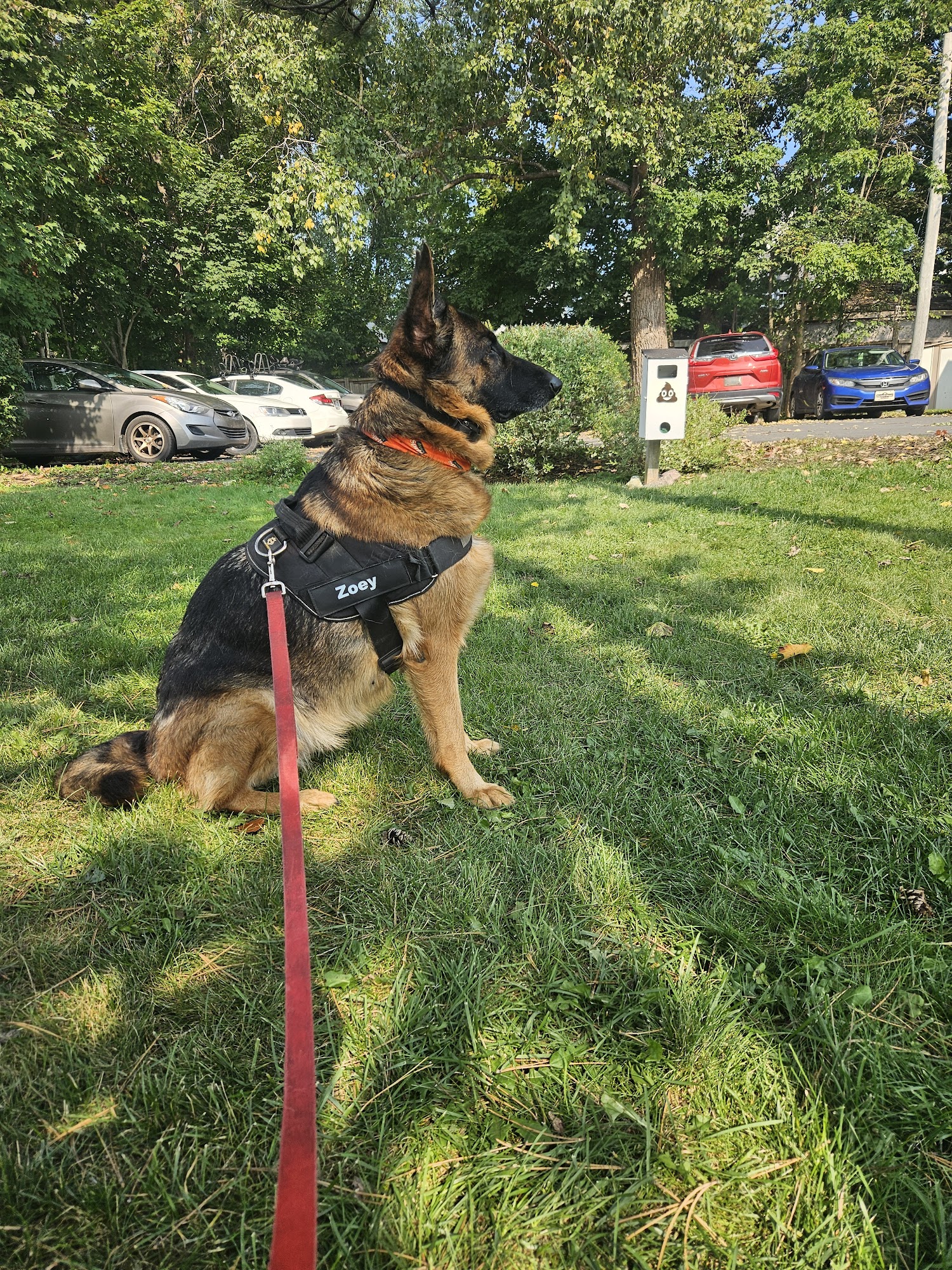 Truro Veterinary Hospital Truro