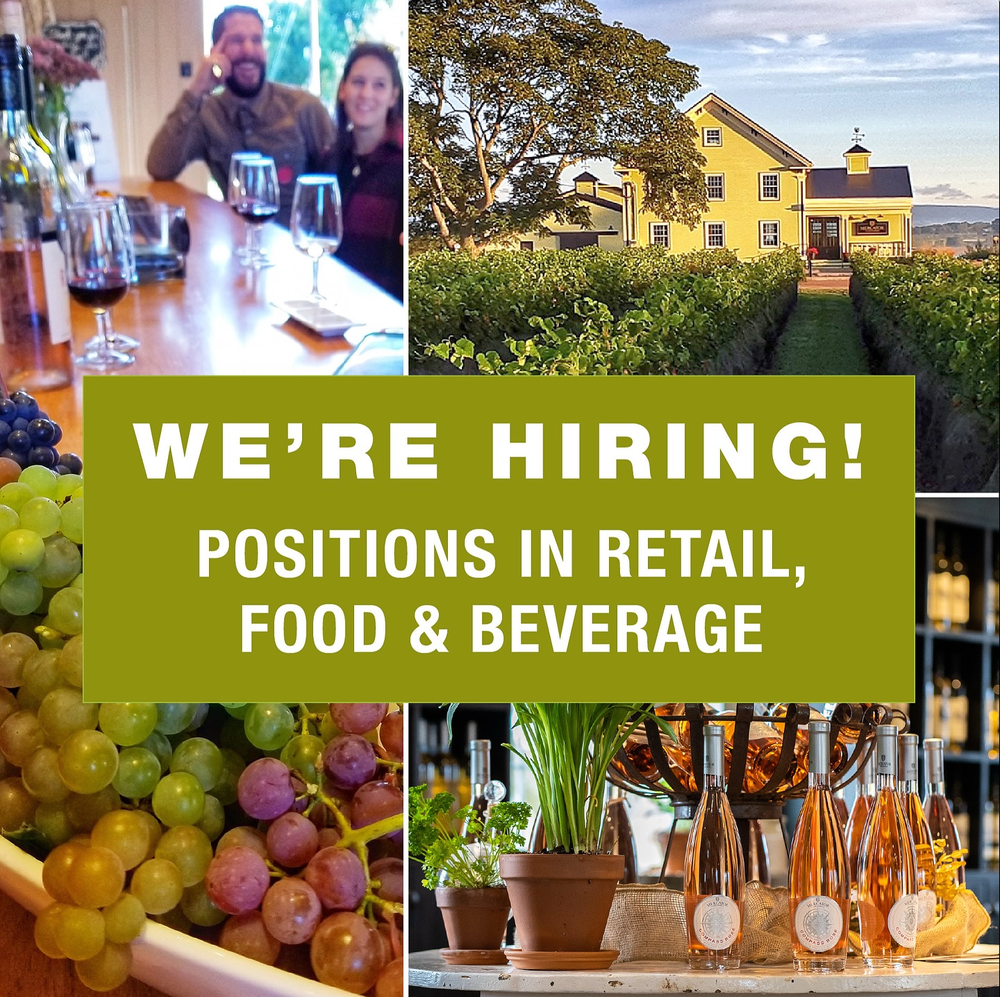 Mercator Vineyards Wolfville