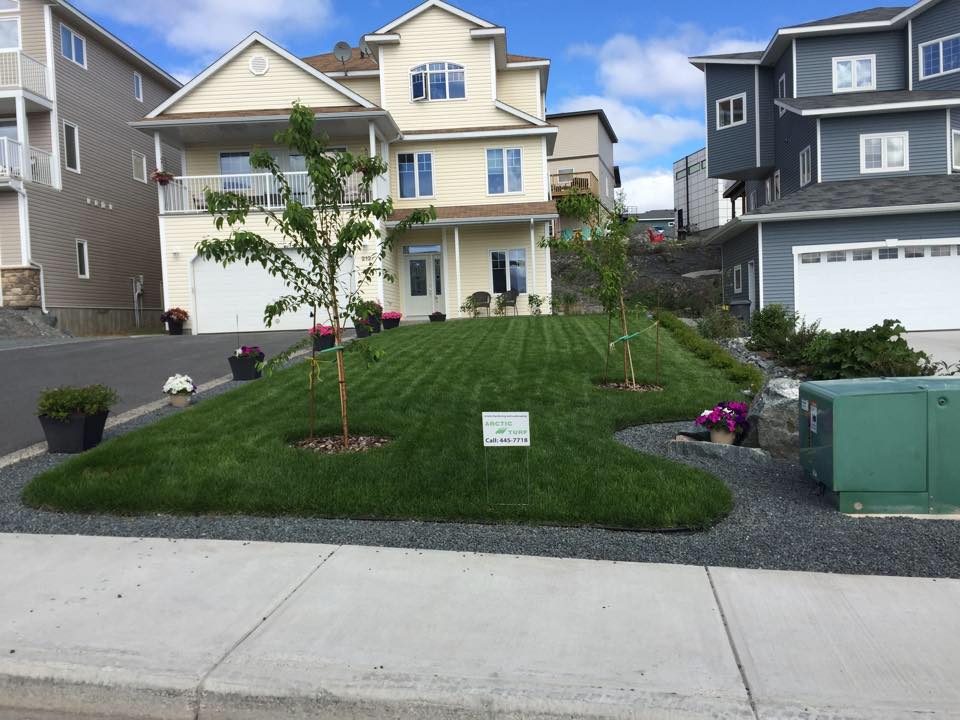 Arctic Turf PO Box 81 Stn Main, Yellowknife Northwest Territories X1A 2N1