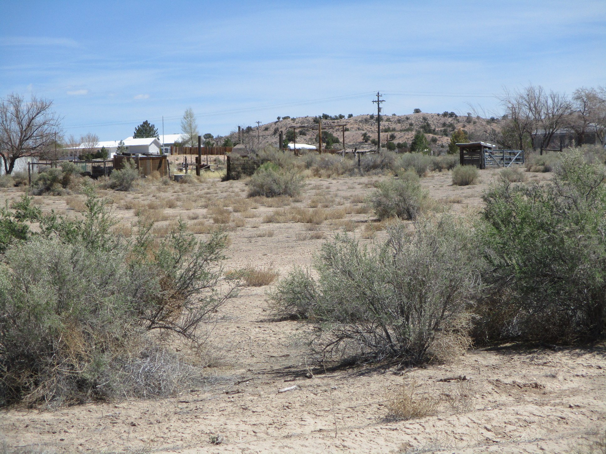 Sheryl Johnson - America's Choice Realty, LLC