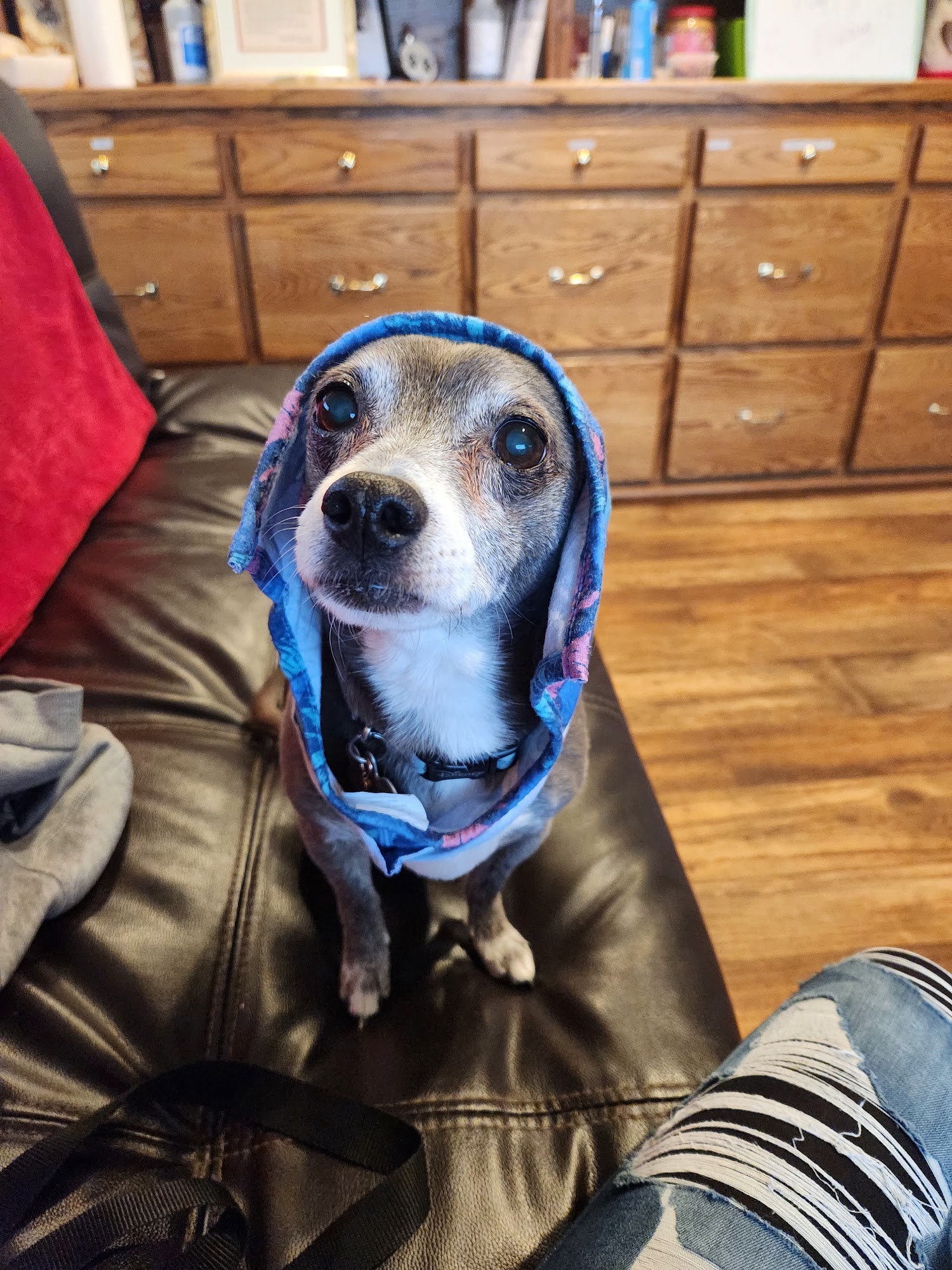 Lone Mountain Veterinary Hospital Carson City