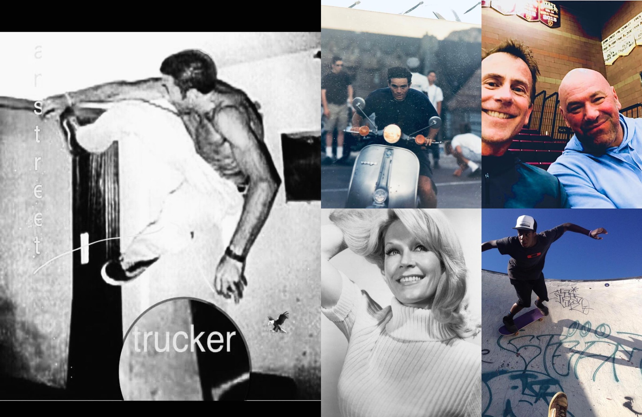 Bibee & Associates/RAI